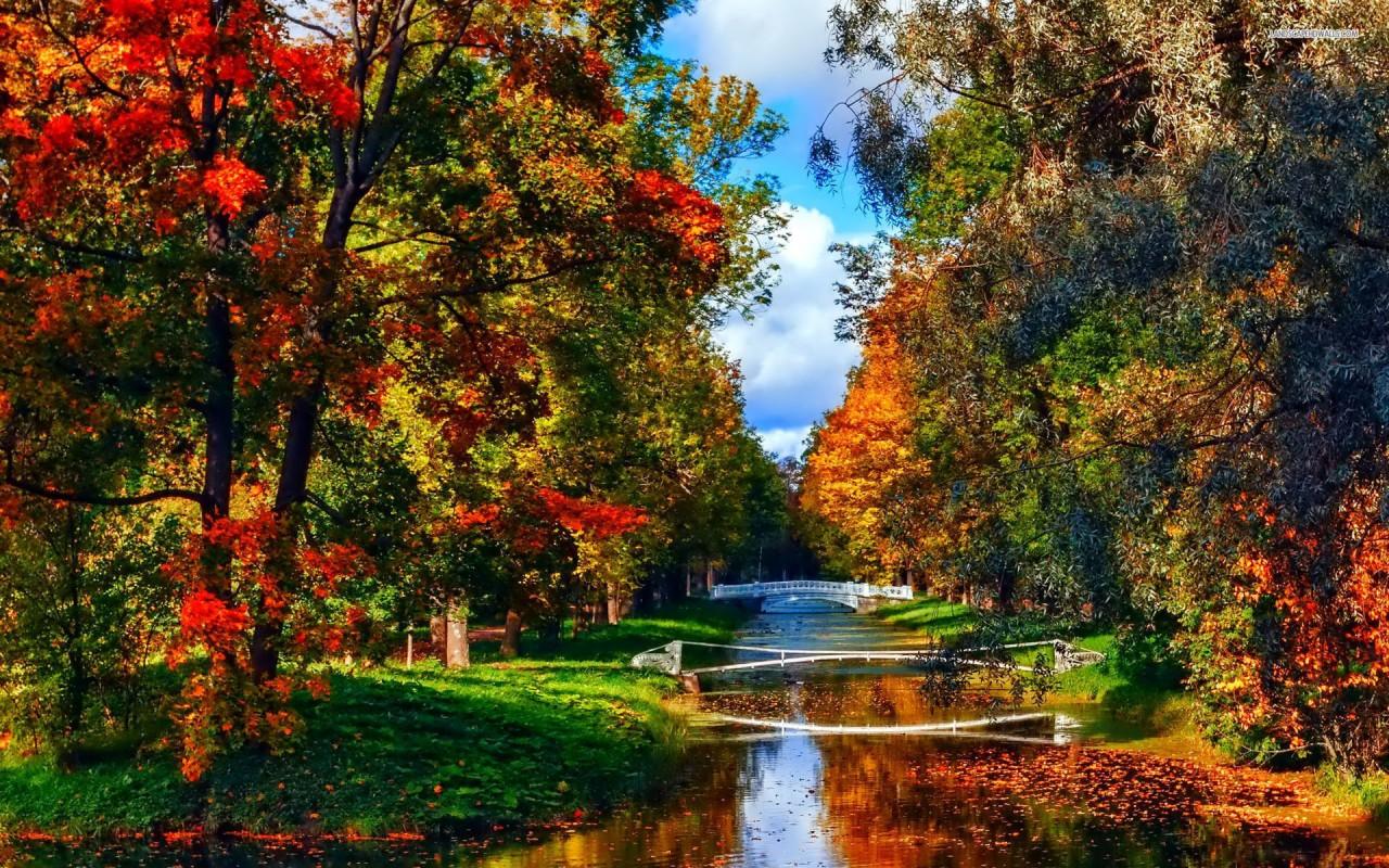 Beautiful canal in the autumn park, bridge, tree, world wallpaper. Beautiful canal in the autumn park, bridge, tr