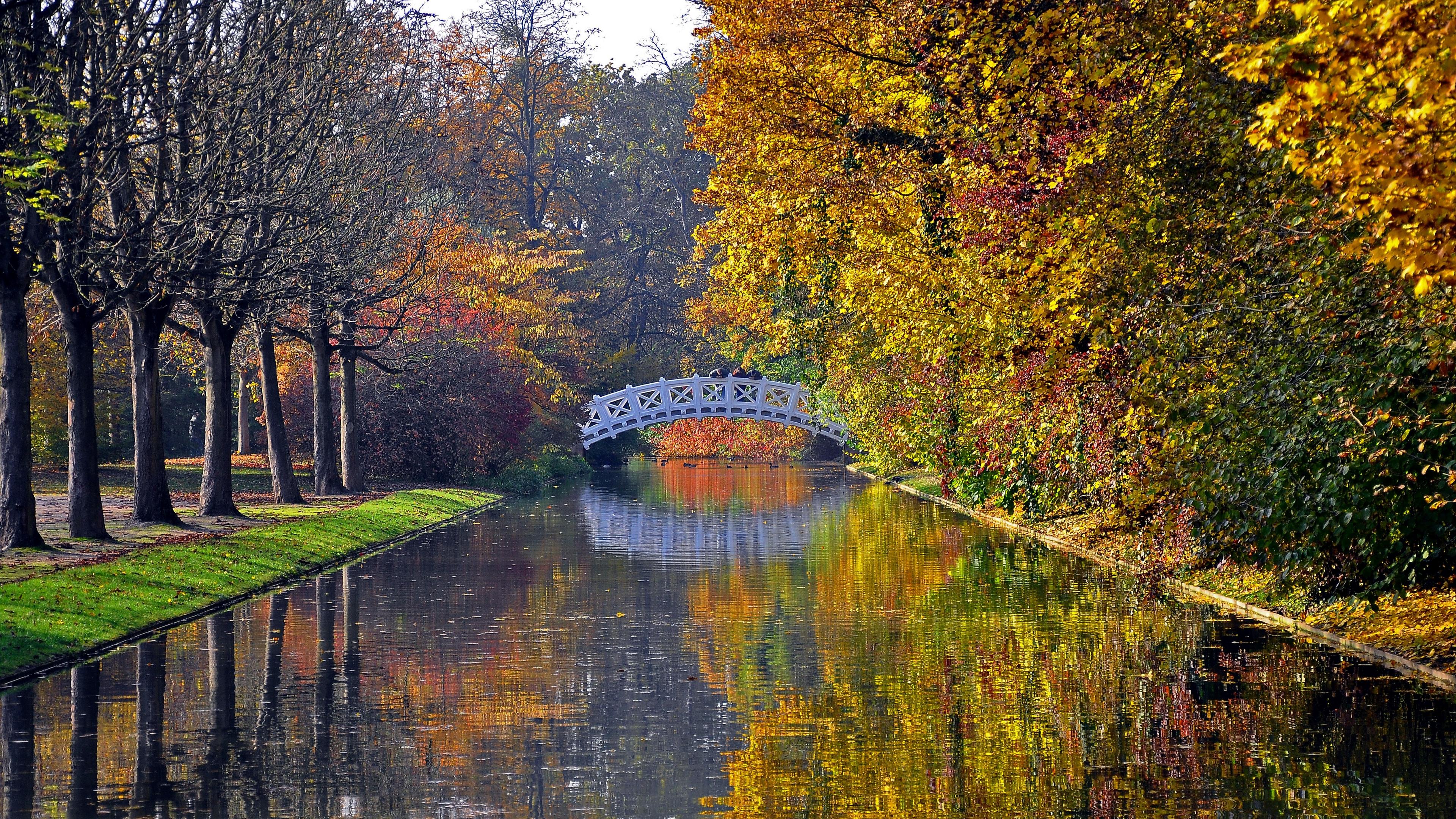 Download wallpaper 3840x2160 autumn, bridge, river, park