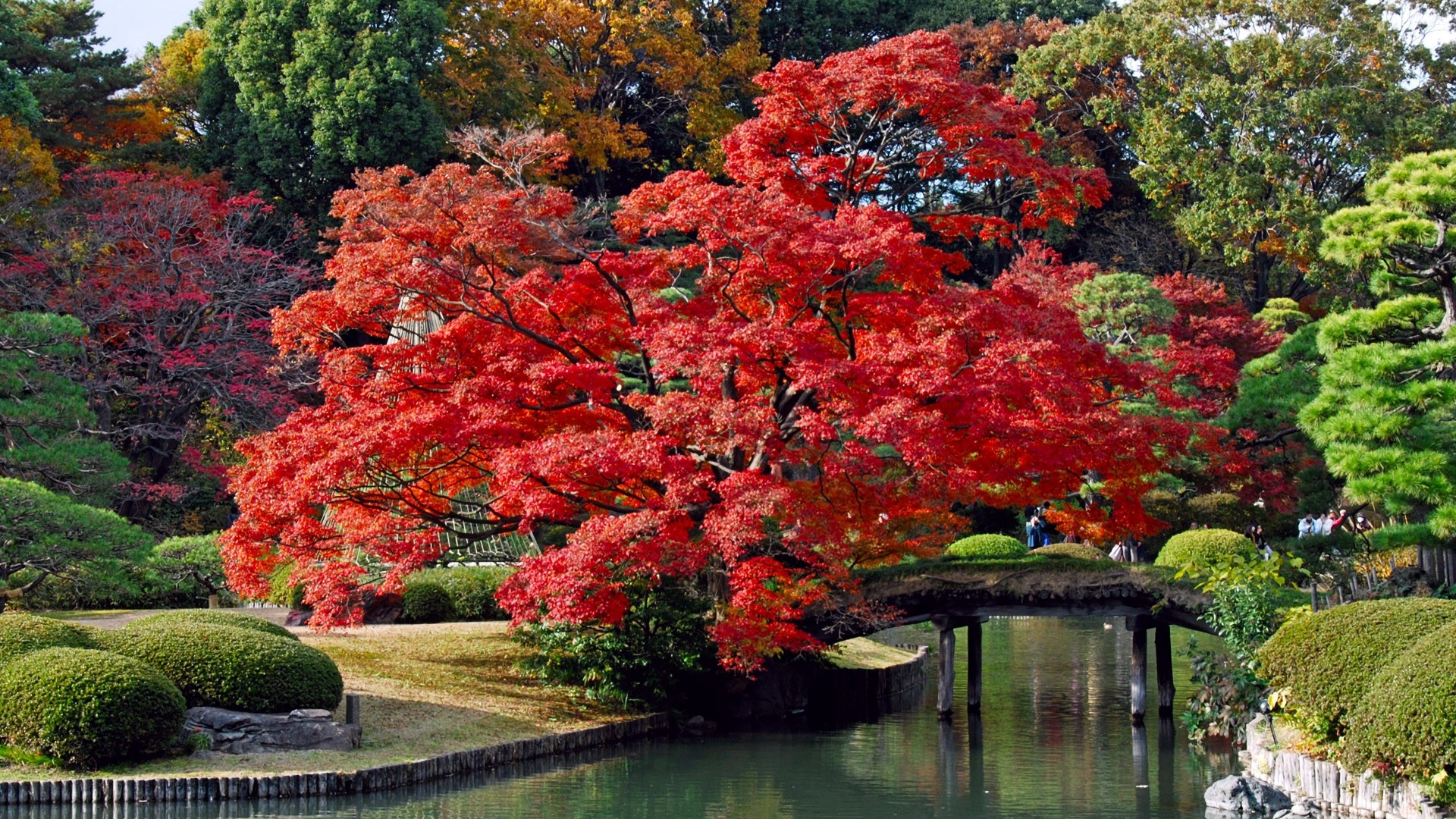 Beautiful Autumn Trees and Park Bridge Wallpaper