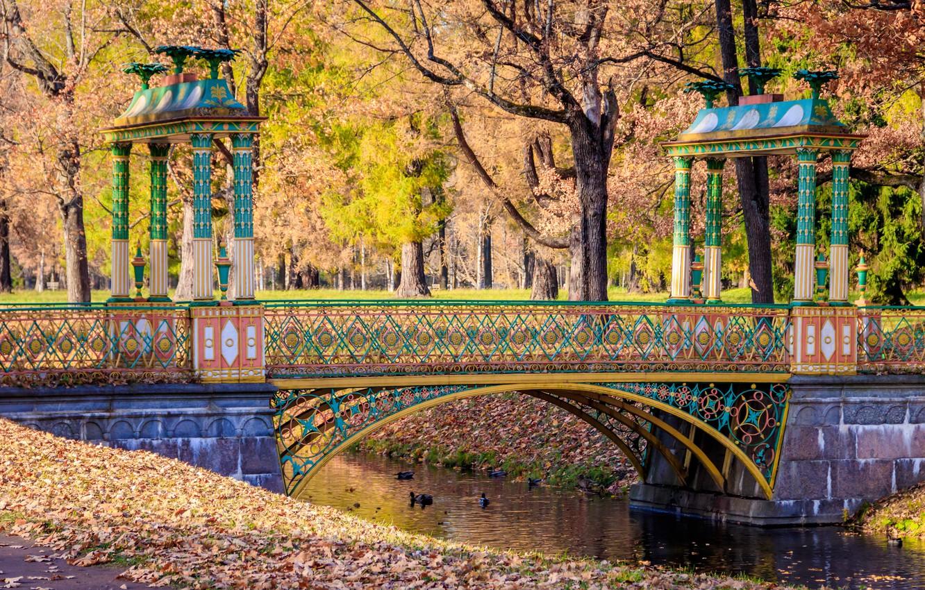 Wallpaper autumn, leaves, trees, bridge, Park, river