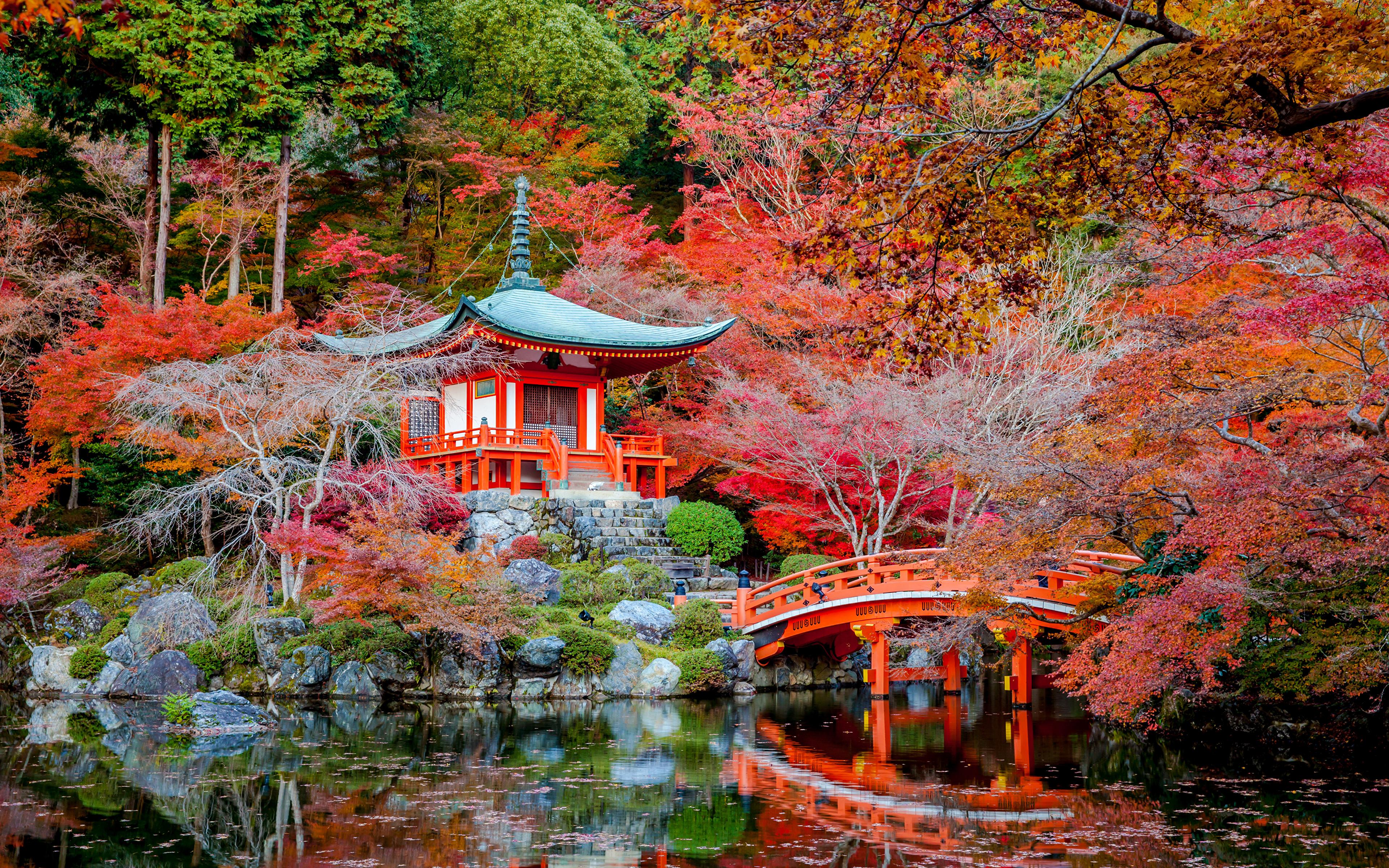 Desktop Wallpaper Kyoto Japan Autumn Nature Bridges Pond