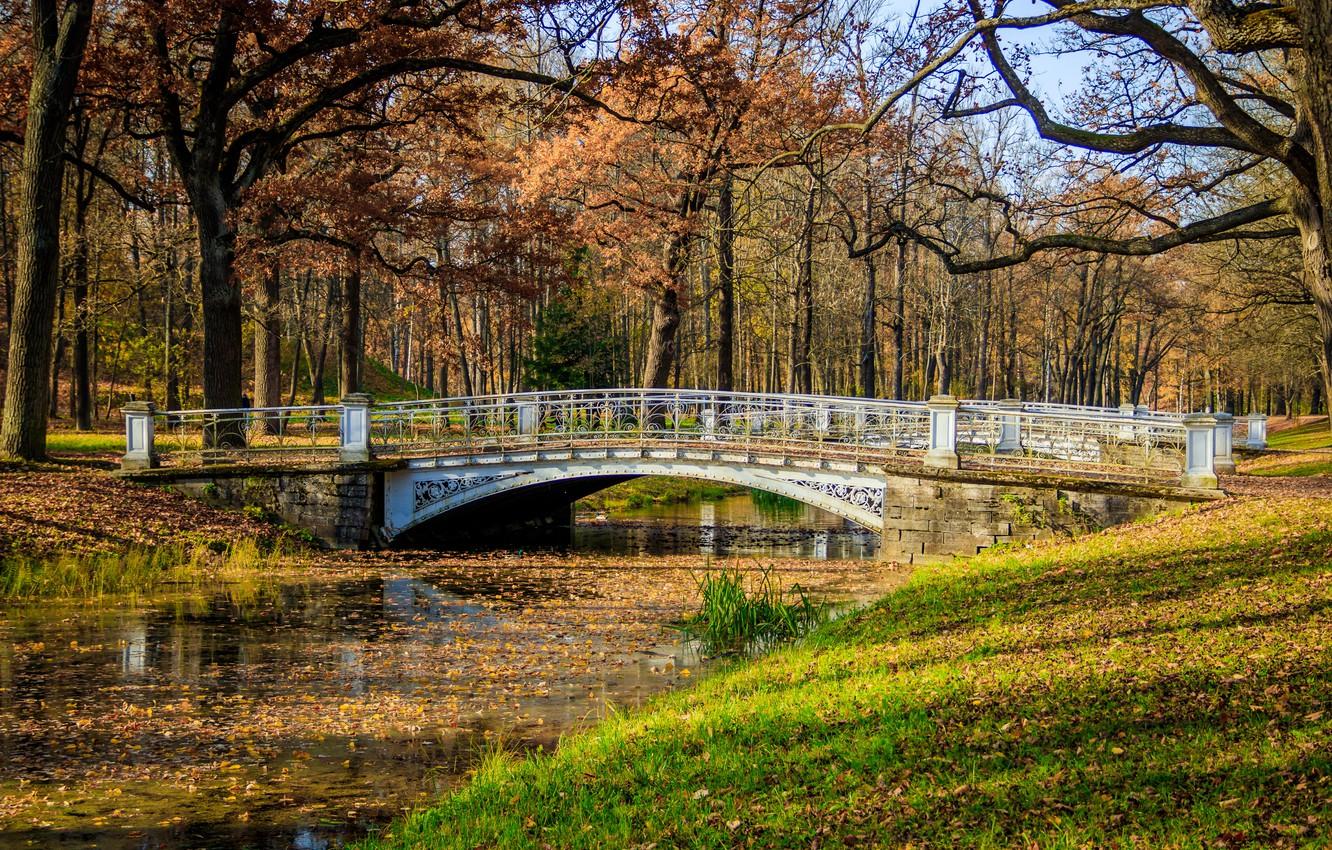 Wallpaper autumn, leaves, trees, bridge, Park, river