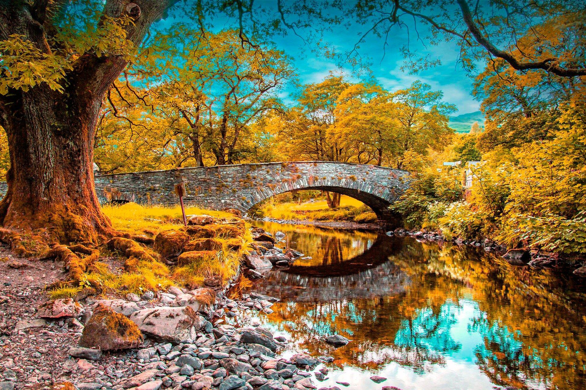 Sky clouds forest park river trees bridge arch autumn