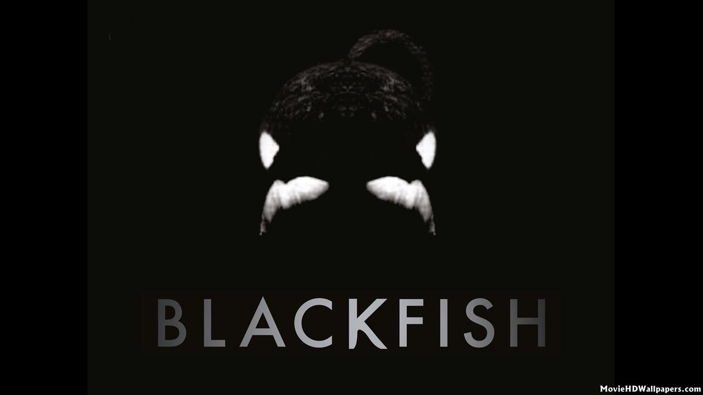 Blackfish Wallpapers - Wallpaper Cave