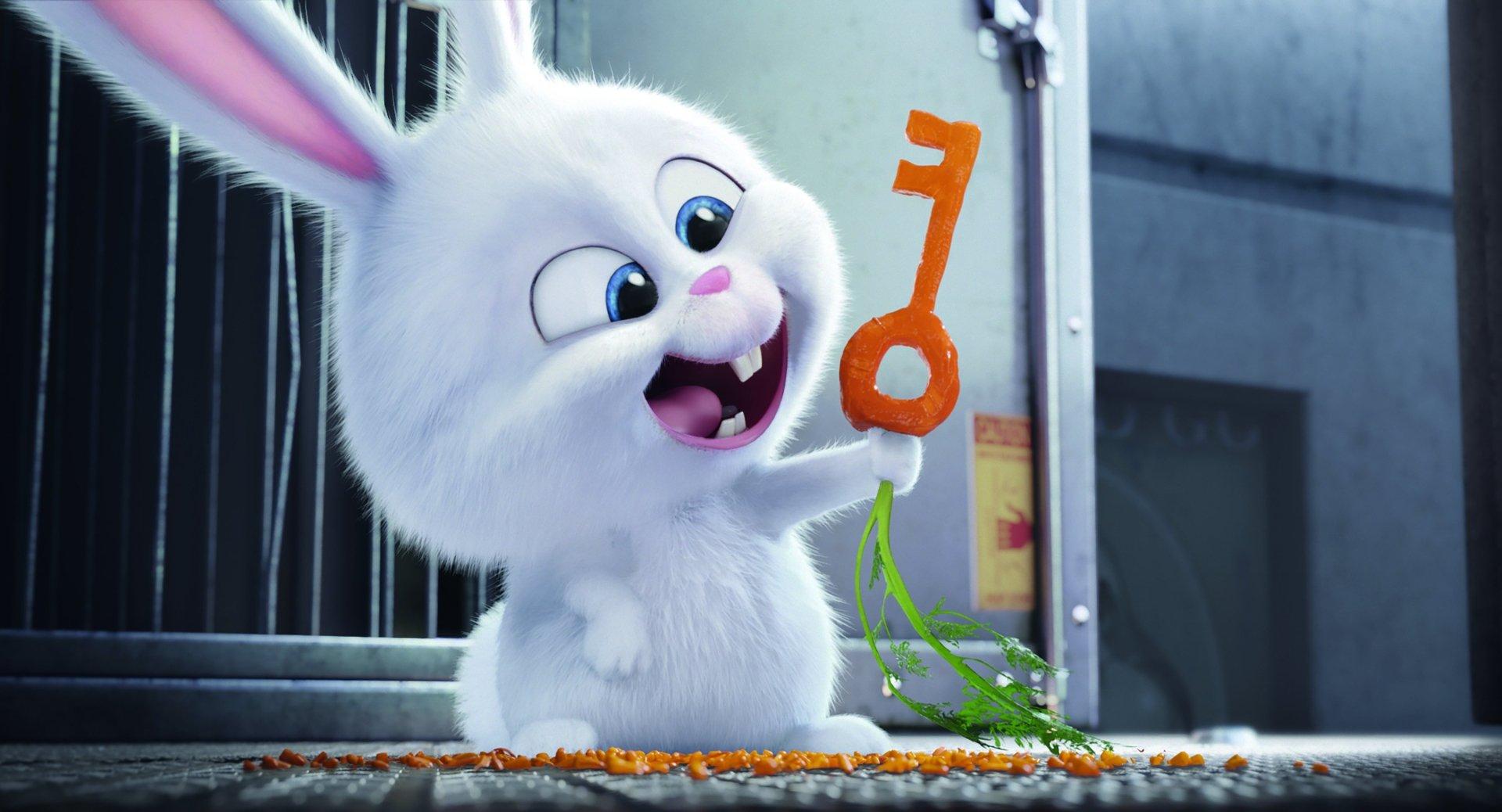 The Secret Life of Pets HD Wallpaper and Background Image