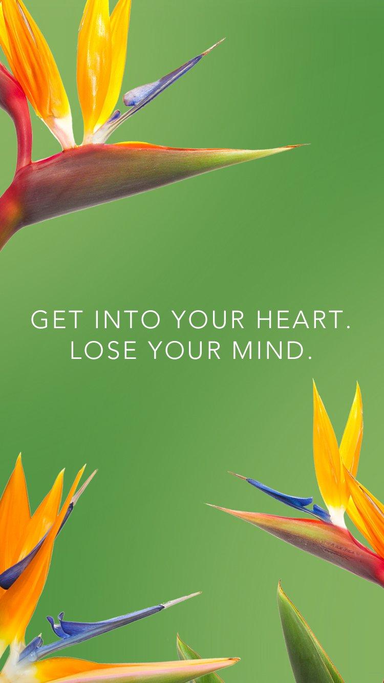 FLOWEREVOLUTION FLORAL WALLPAPERS