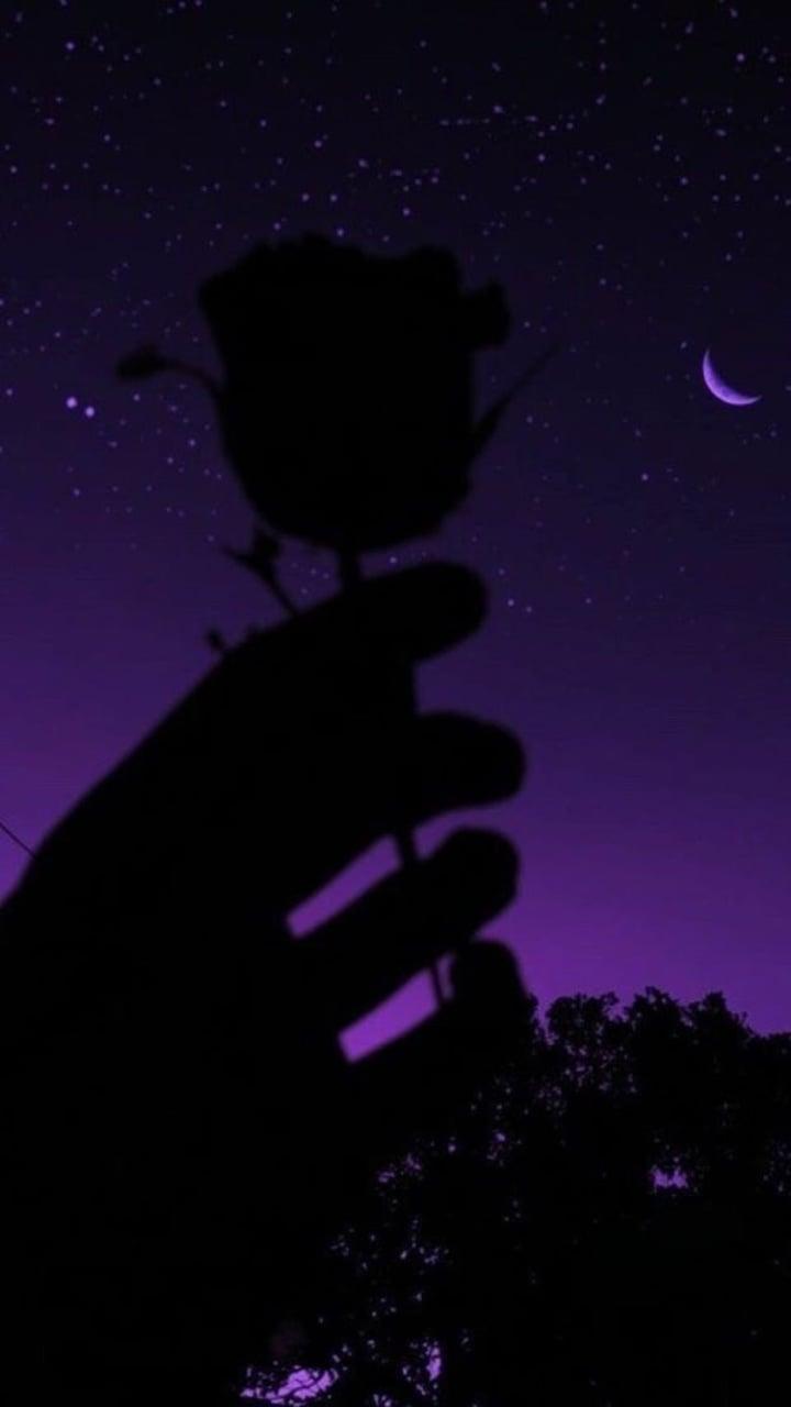 Purple And Black Aesthetic Free Wallpaper & Background