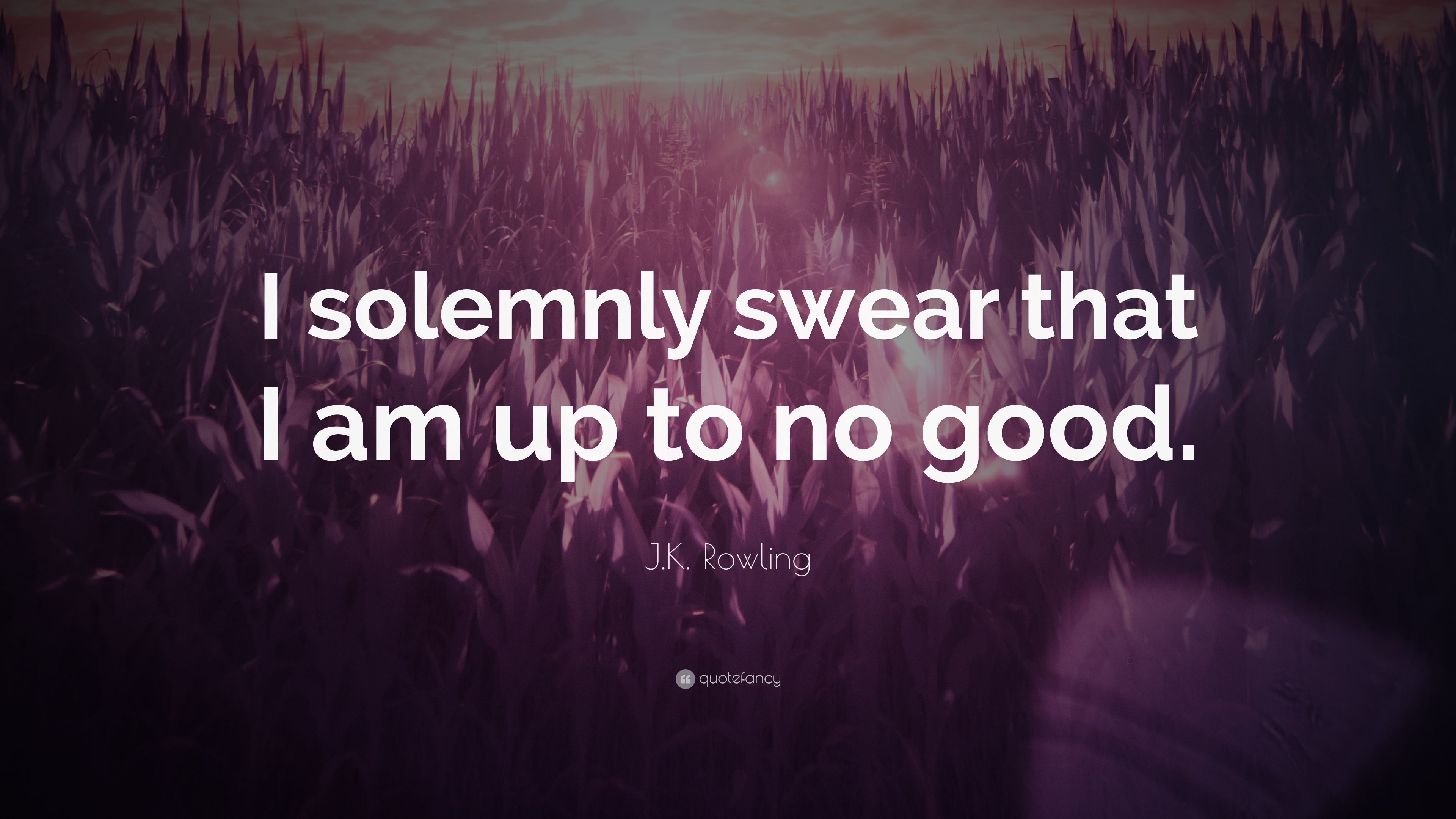 harry potter quotes i solemnly swear