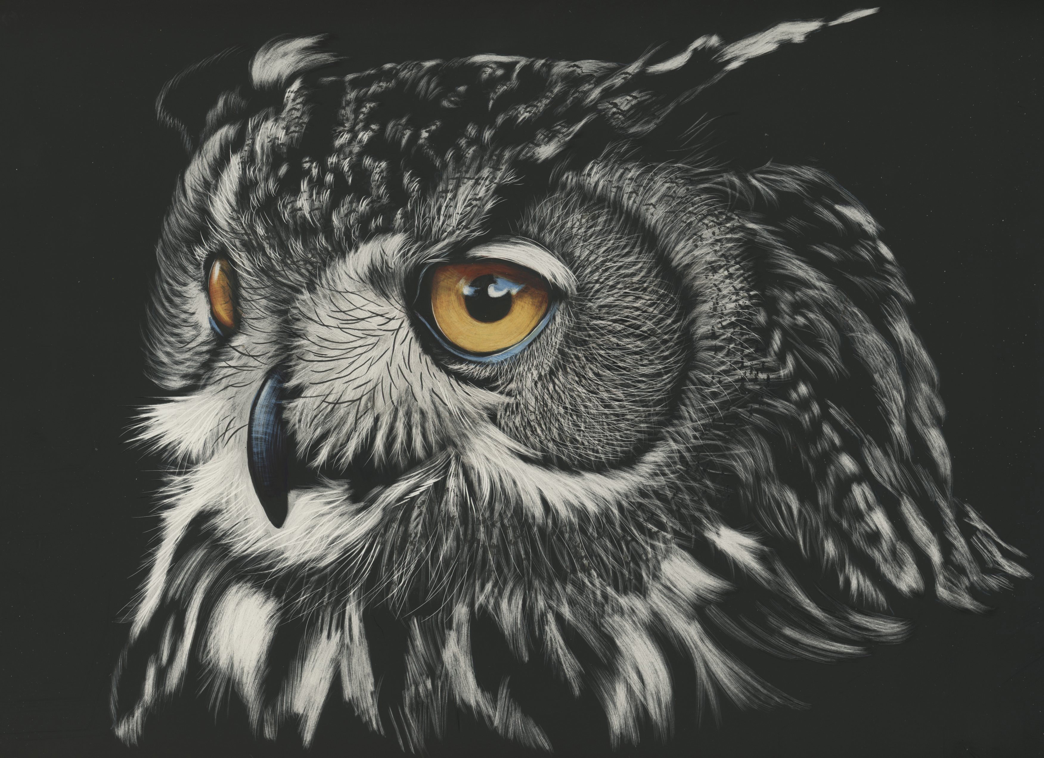 Oil Paint, Painting, Wildlife, Canvas, Great Horned Owl HD