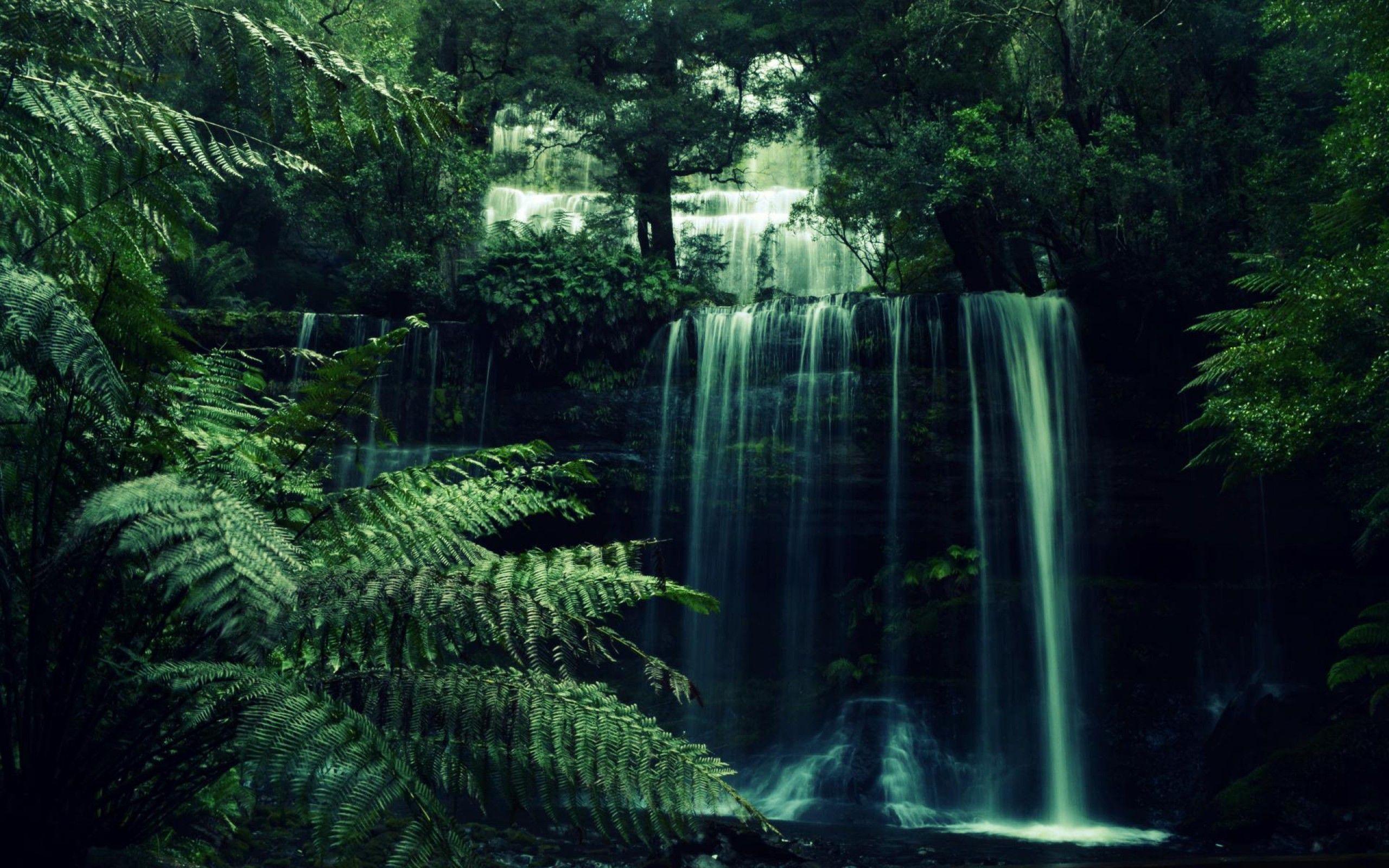 Forest Waterfall Desktop Wallpaper at