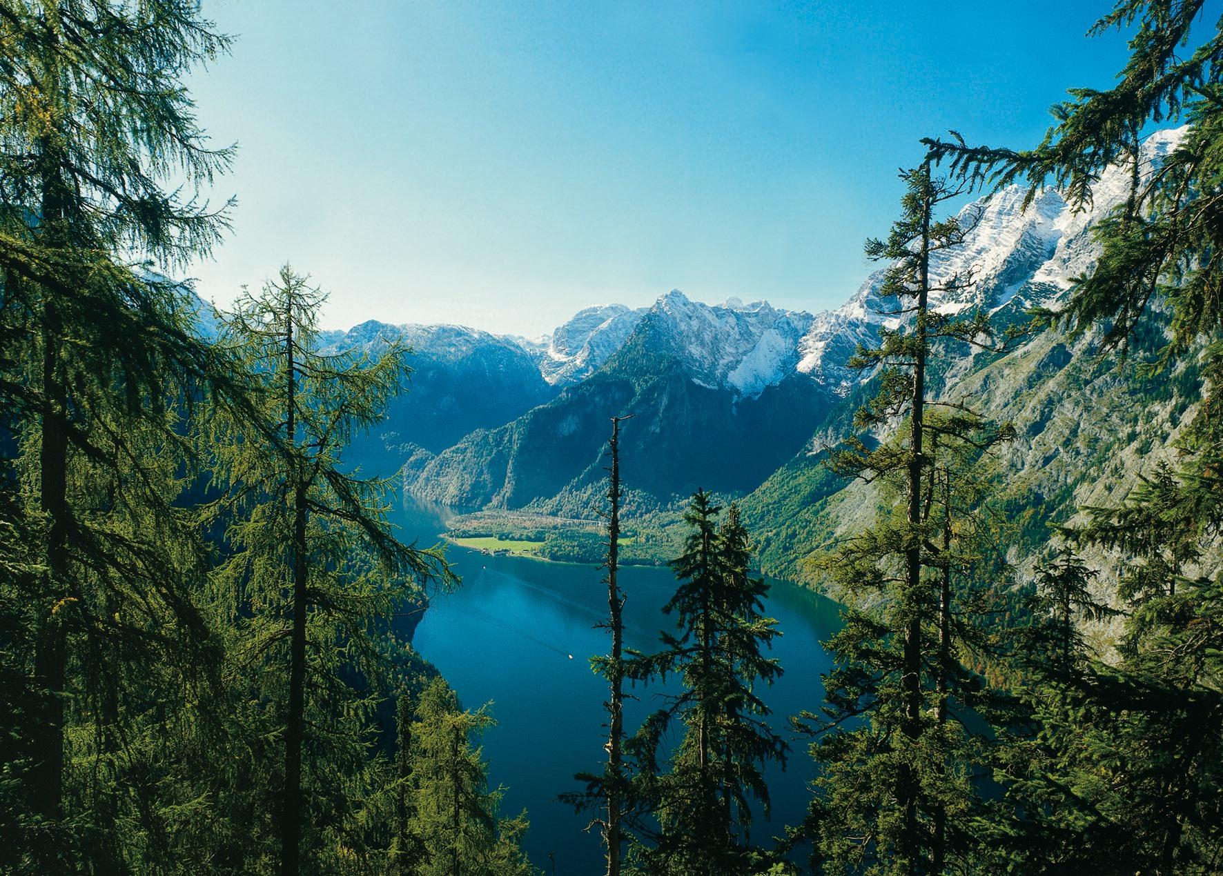 Free Wilderness Wallpaper