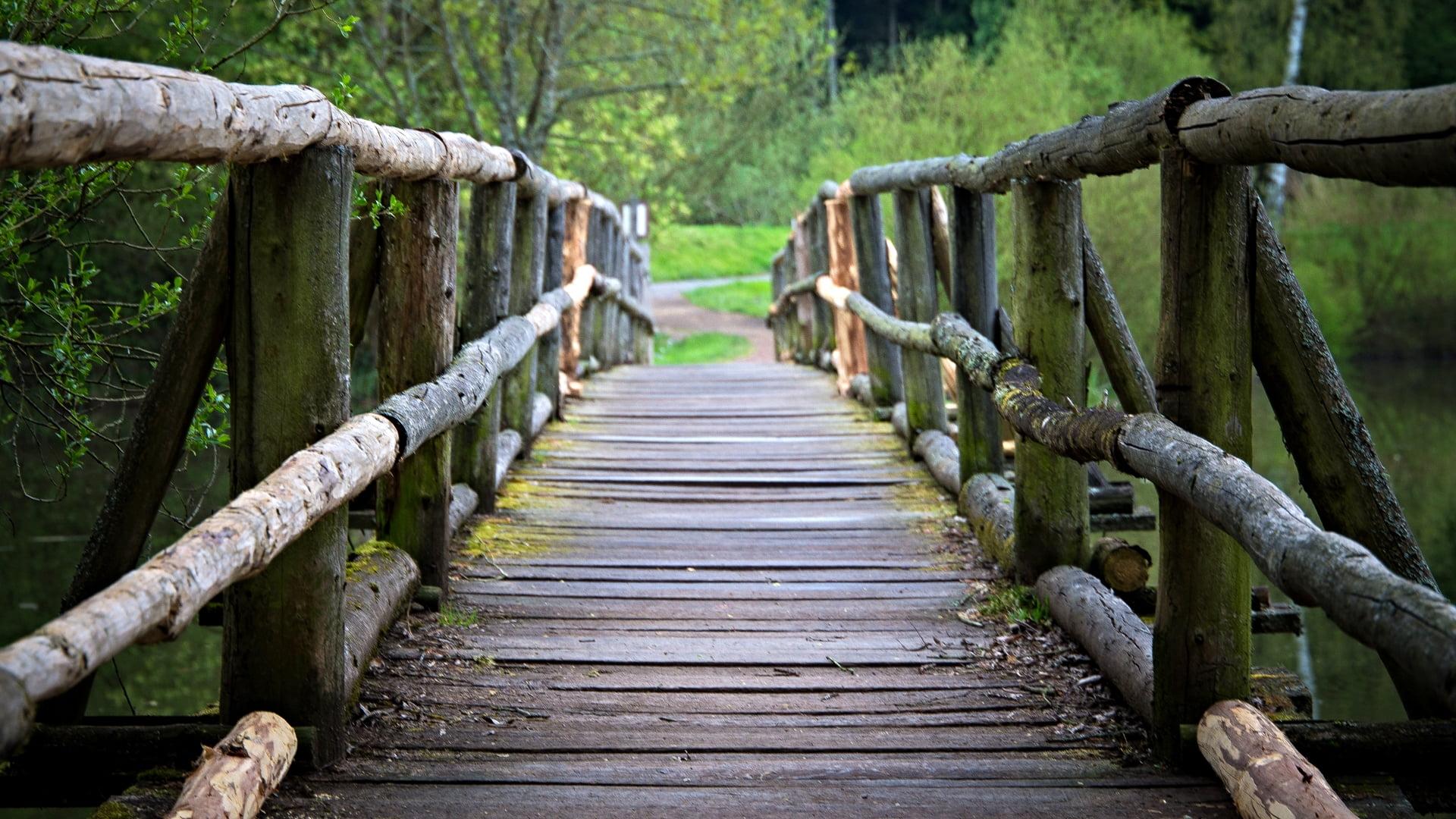 Wooden Walkway Wallpapers - Wallpaper Cave - DaftSex HD