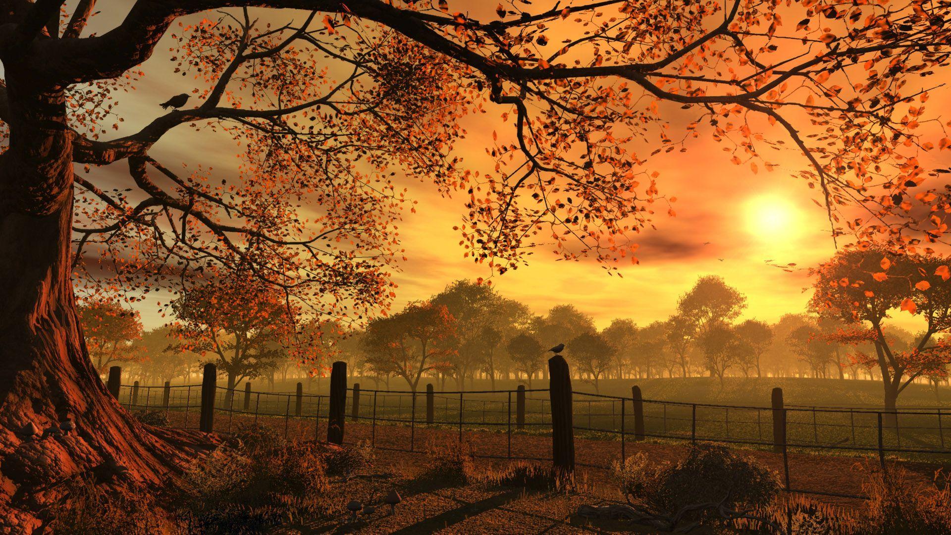 Autumn Sunset Wallpaper Widescreen