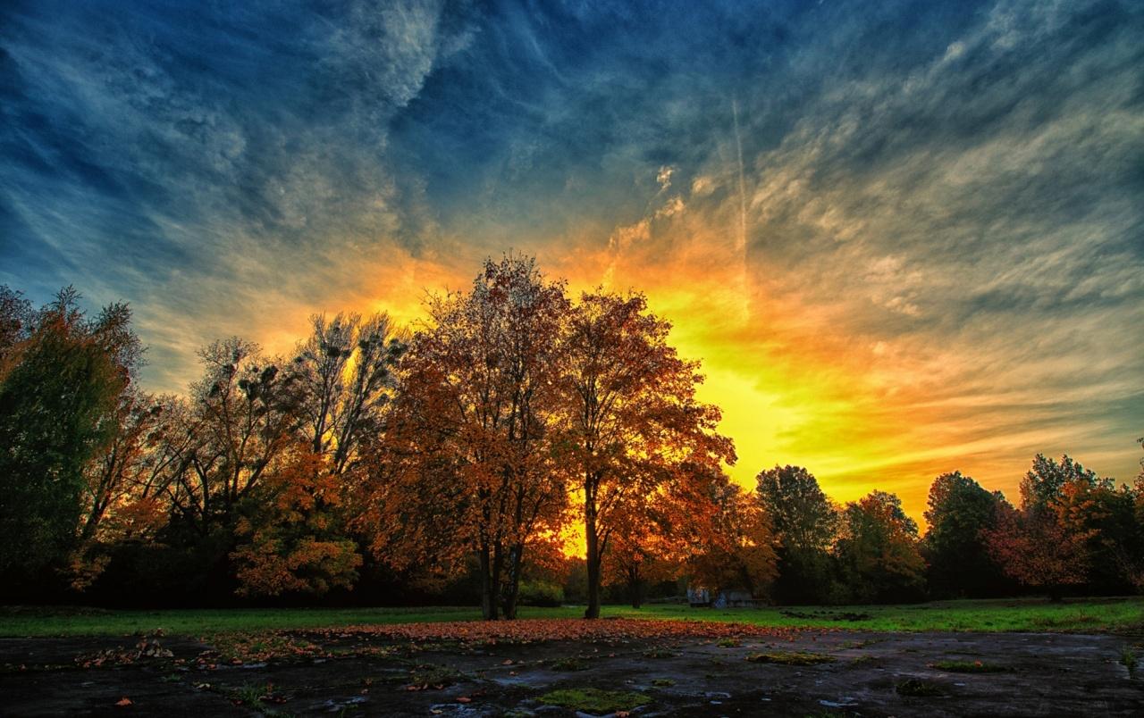Perfect Autumn Sunset & Trees wallpaper. Perfect Autumn