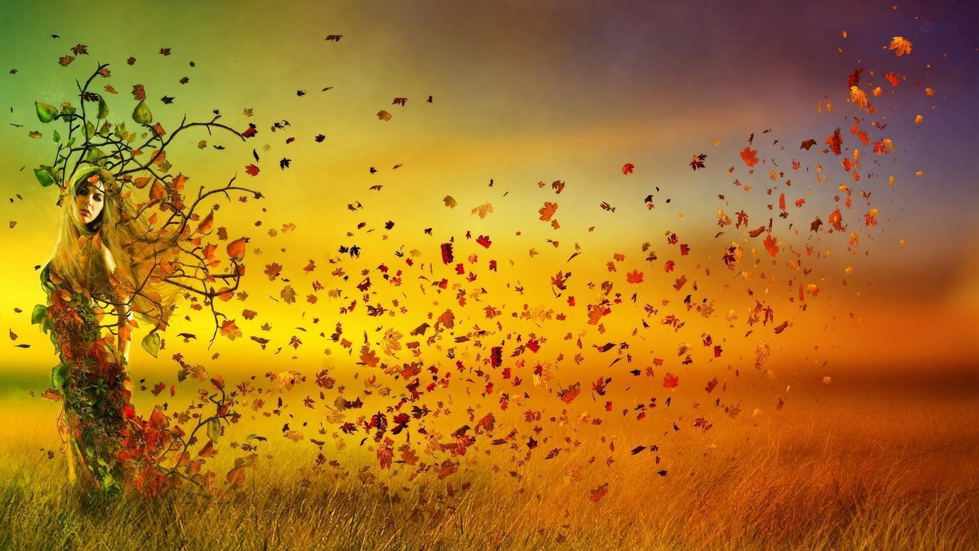 Autumn Sunset HD desktop wallpaper, Widescreen, High