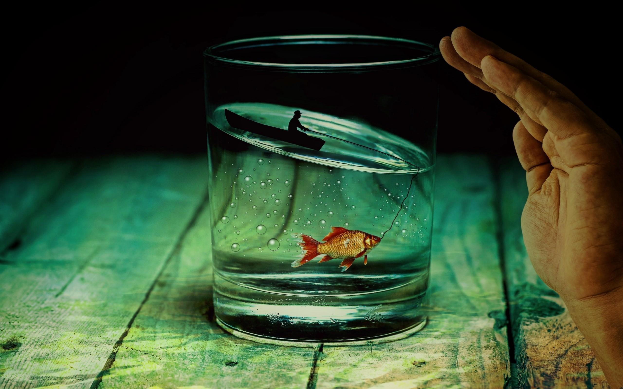 Download 2560x1600 Fish, Glass, Artistic, Hand, Boat