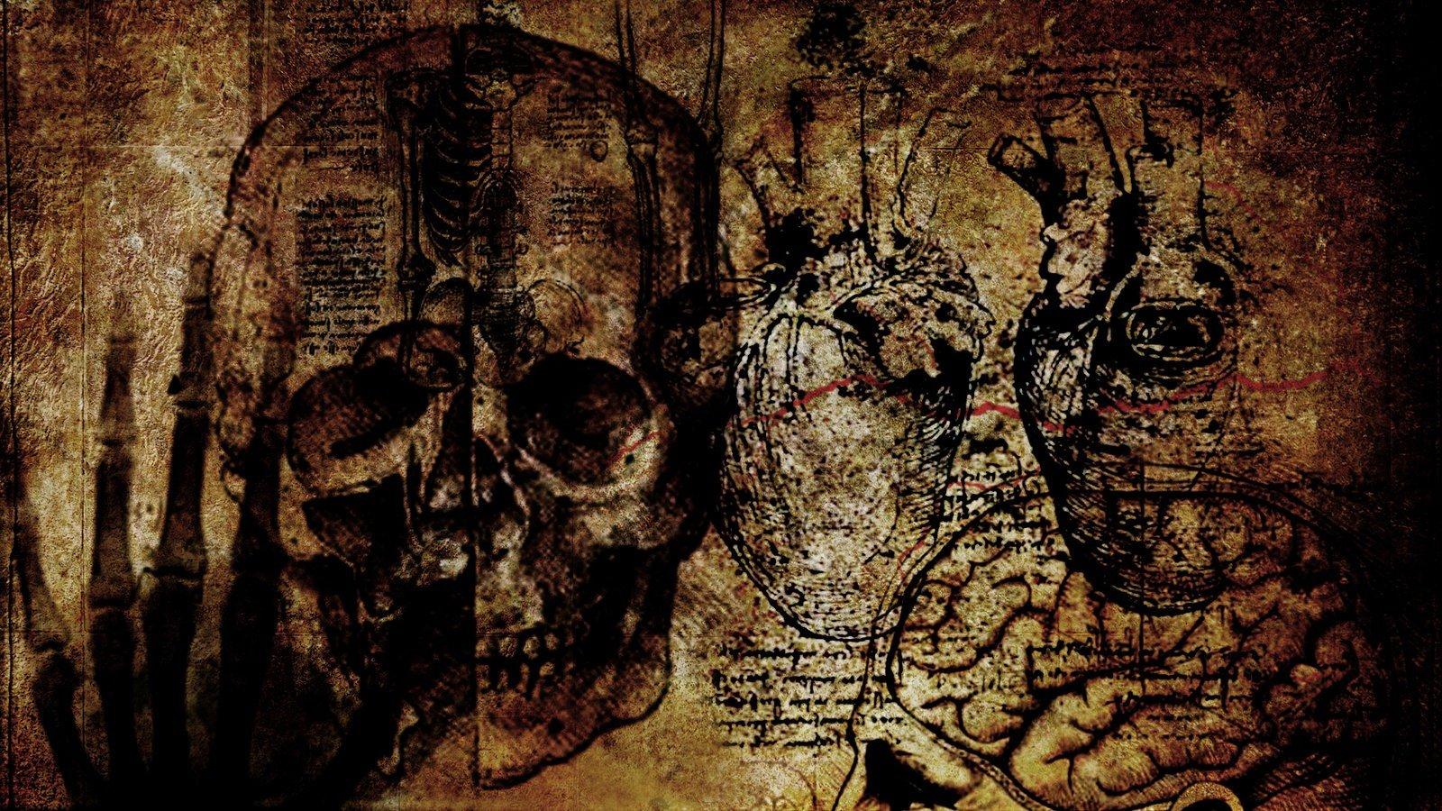 grunge skull wallpaper and background. Other