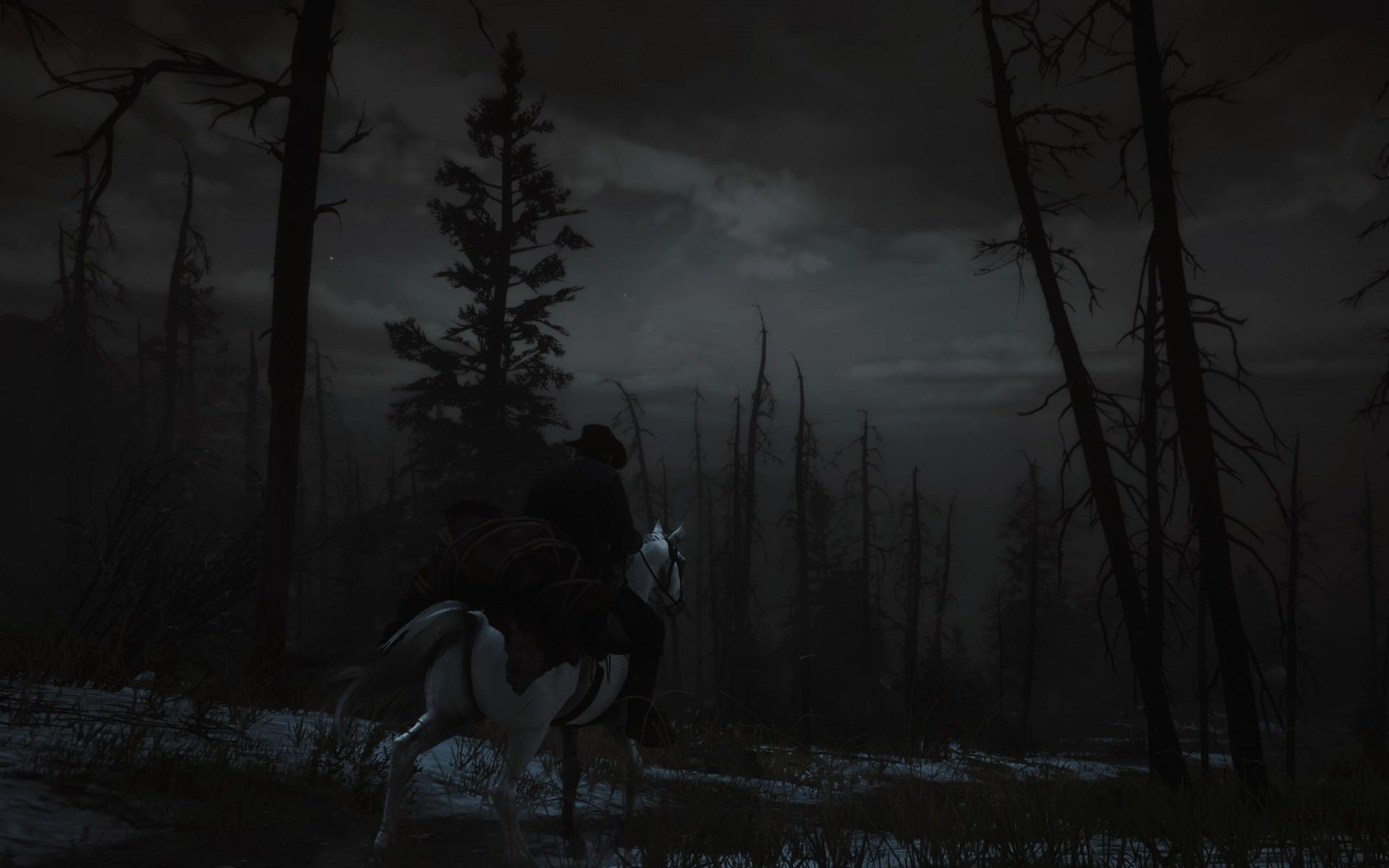 Download 1920x1200 Red Dead Redemption Horse, Night