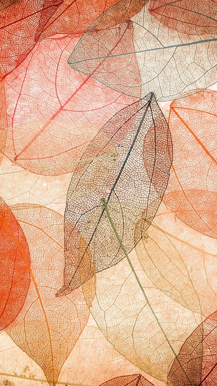 Autumn, Transparent Leaves, Abstract, Colorful 750x1334 IPhone 8 7 6 6S Wallpaper, Background, Picture, Image