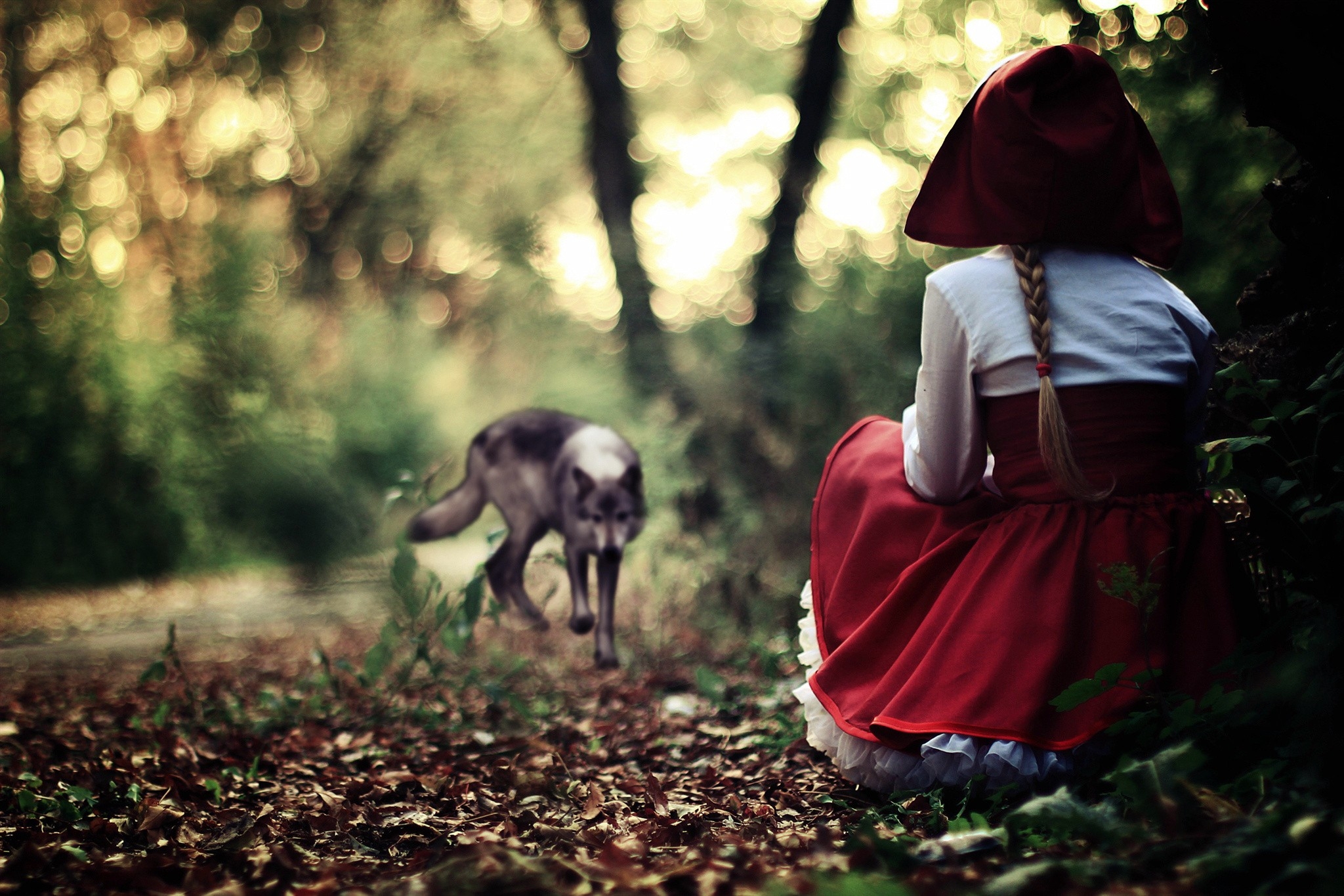 women forest little red riding hood fantasy art fairy tales