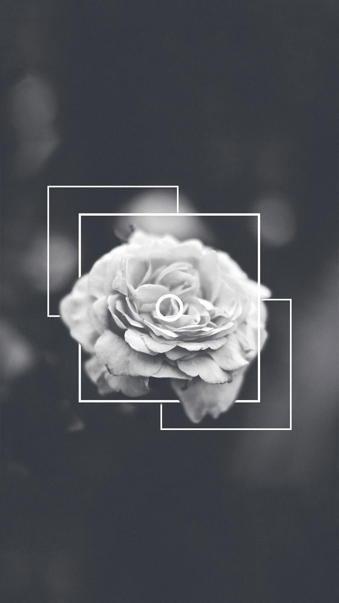 Wallpaper Tumblr iPhone Black And White Roses