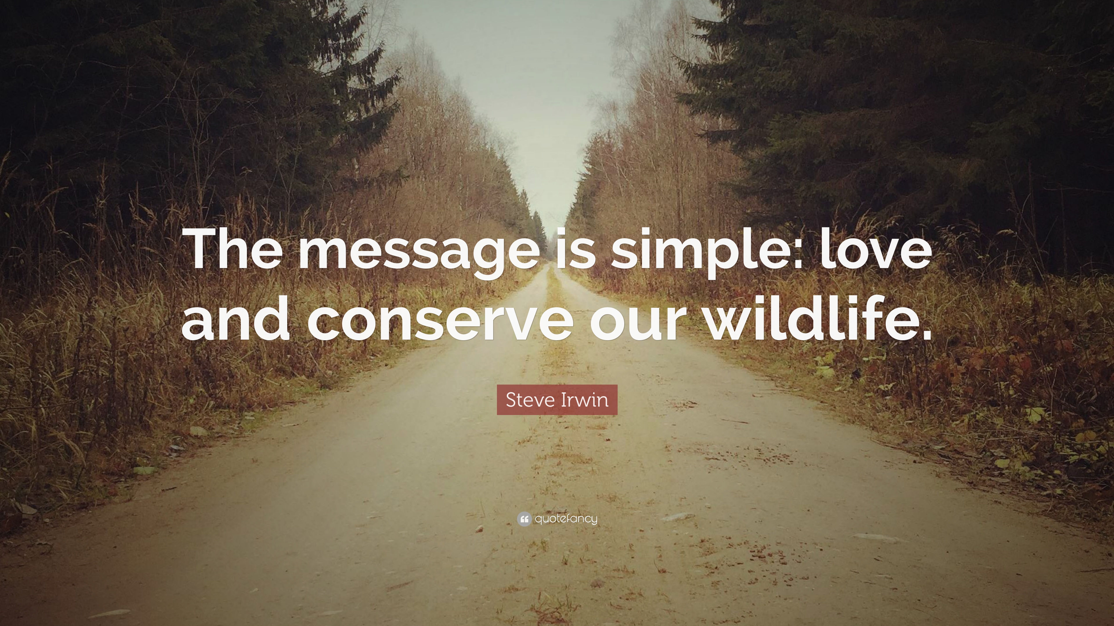 Steve Irwin Quote: “The message is simple: love and conserve