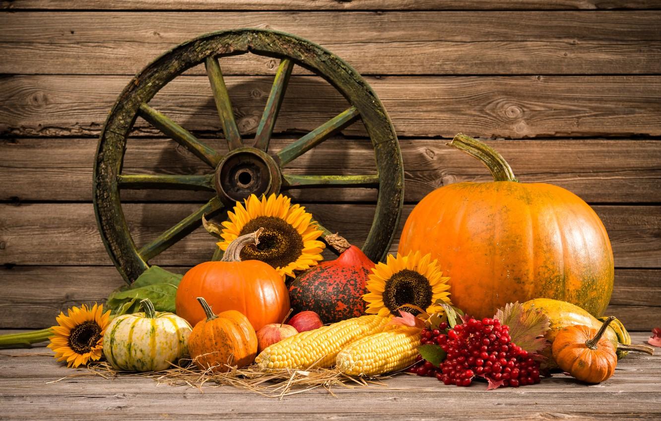 Wallpaper autumn, harvest, pumpkin, still life, vegetables