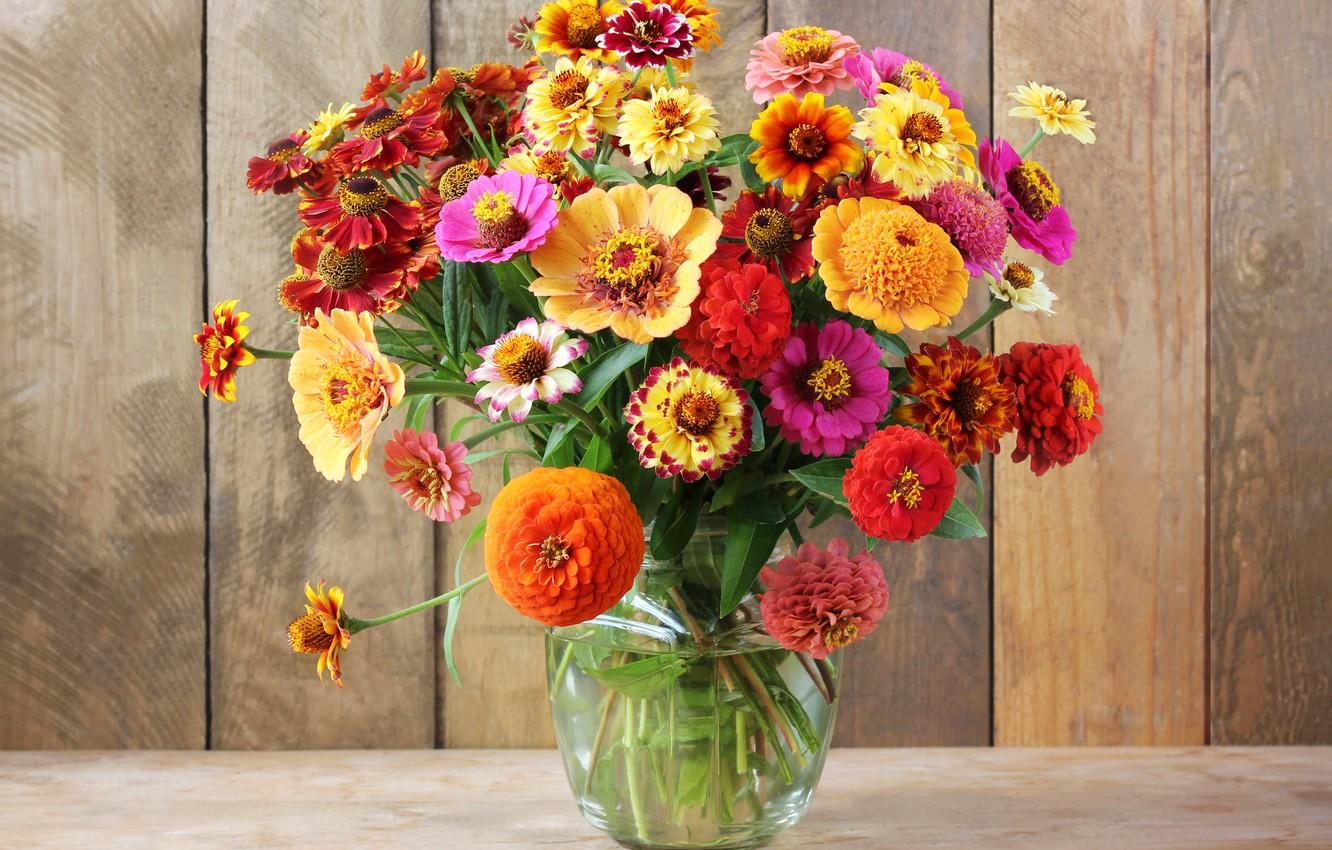 Wallpaper autumn, flowers, bouquet, colorful, still life