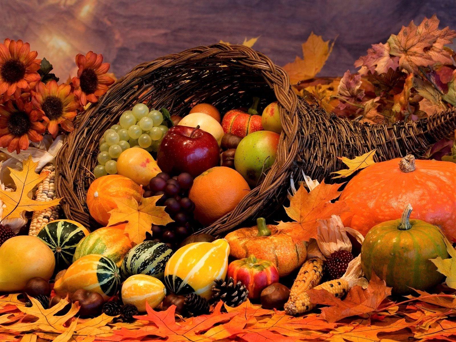 Autumn Still Life Wallpaper and Background Imagex1200