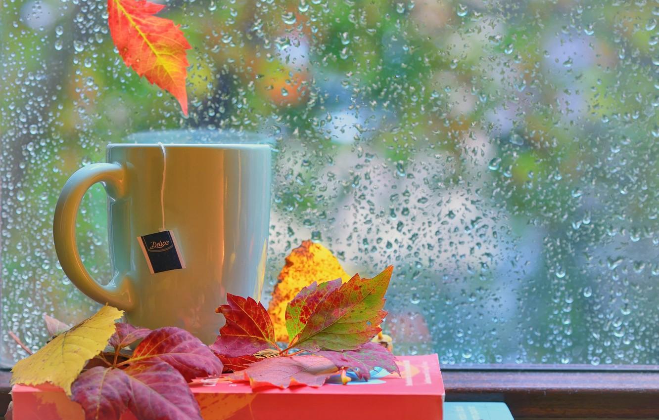 Wallpaper autumn, leaves, drops, rain, books, window, Cup, still life image for desktop, section настроения