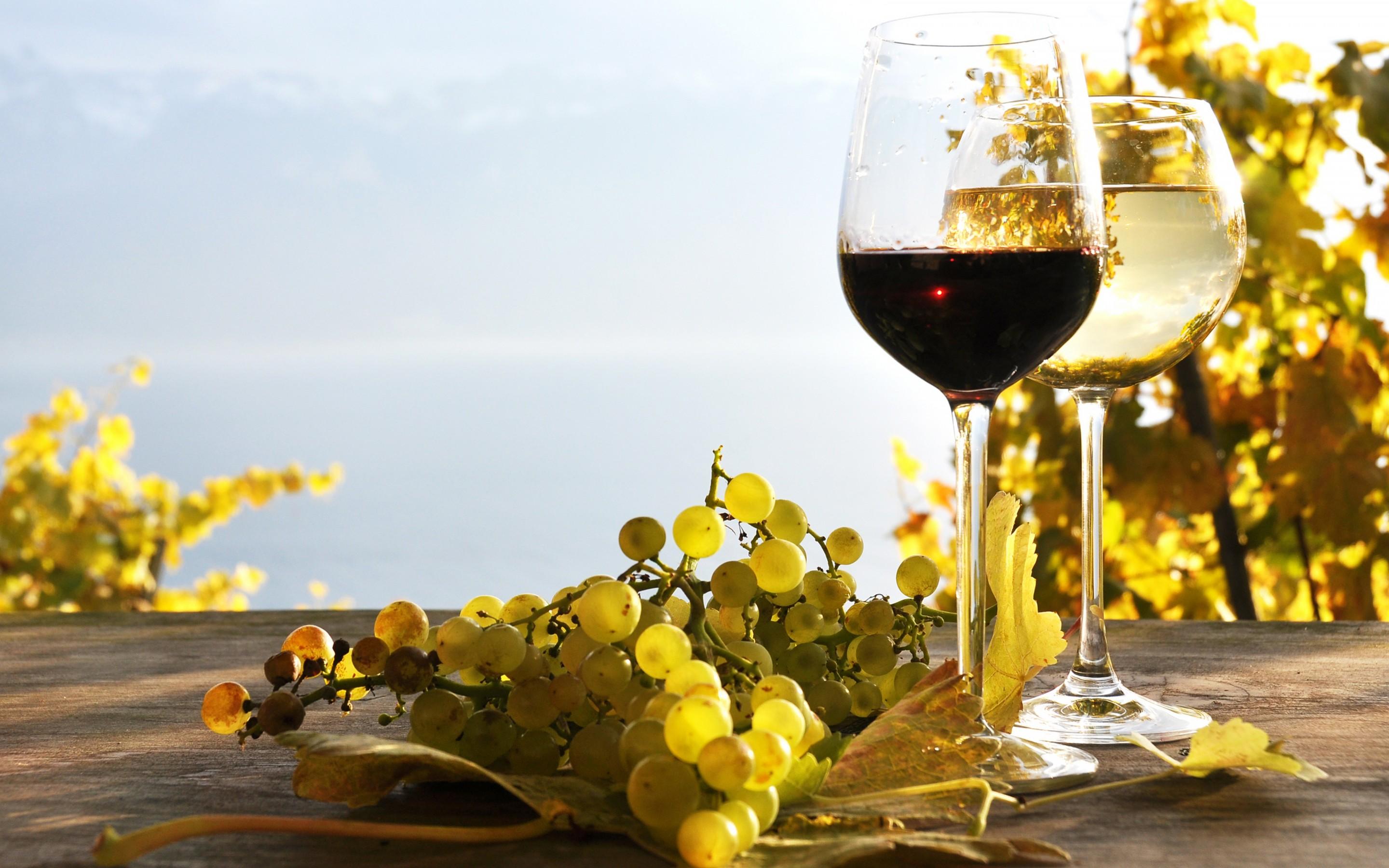 Surprising Health Benefits Of Red Wine - Pragativadi