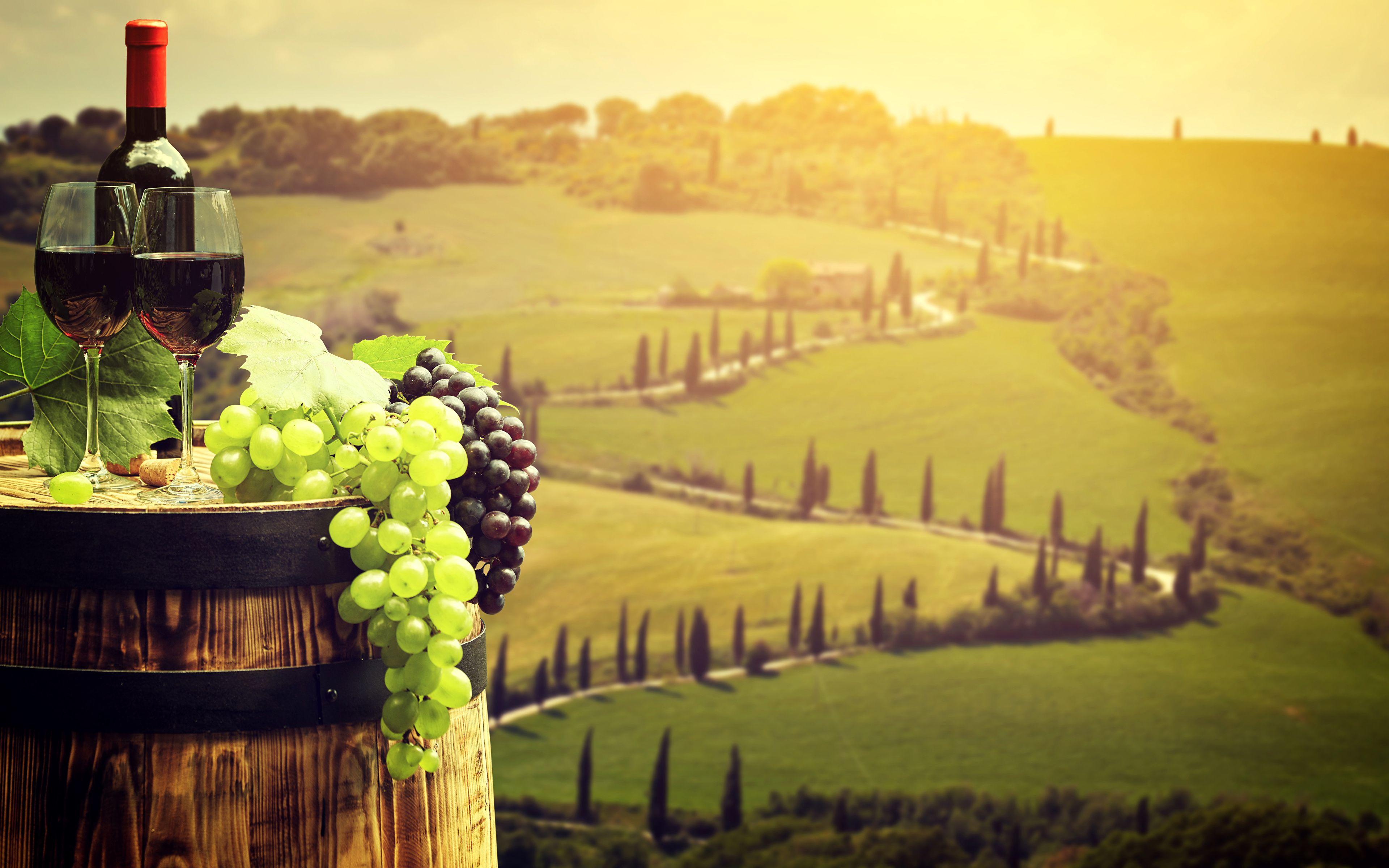 Italy Wine Wallpaper