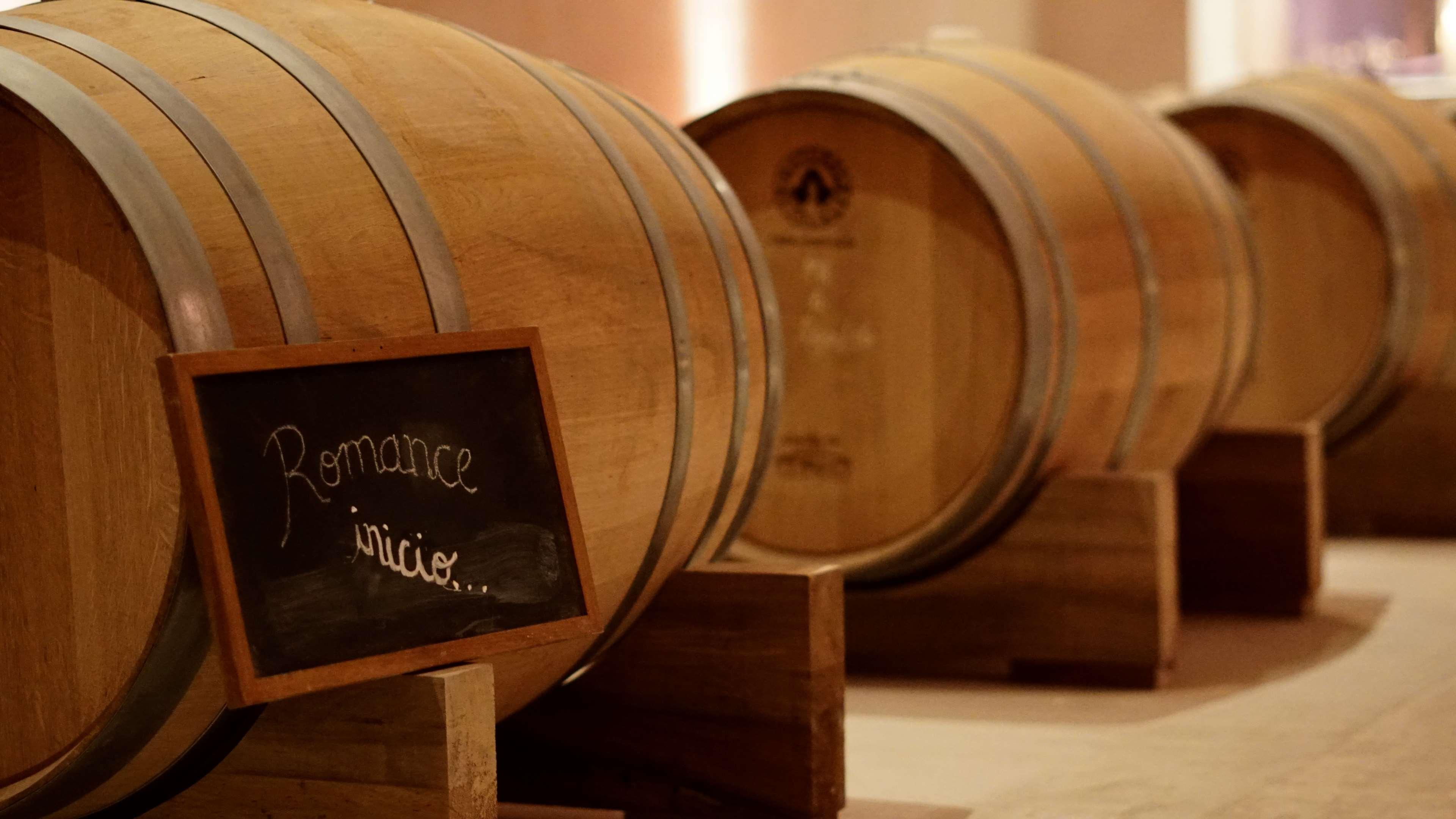 barrels, wine, wine barrels, winery 4k wallpaper