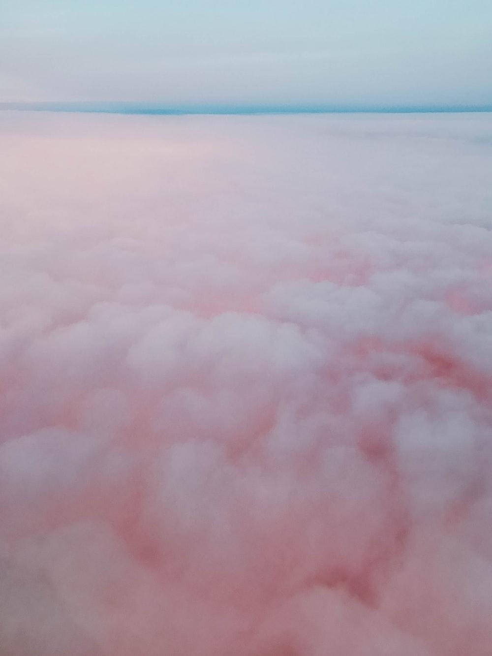 Cotton Candy Picture. Download Free Image