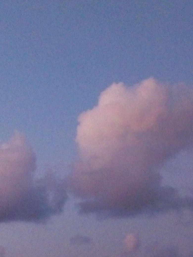 ♡. cloudpeach♡. sky. Pretty sky, Blue