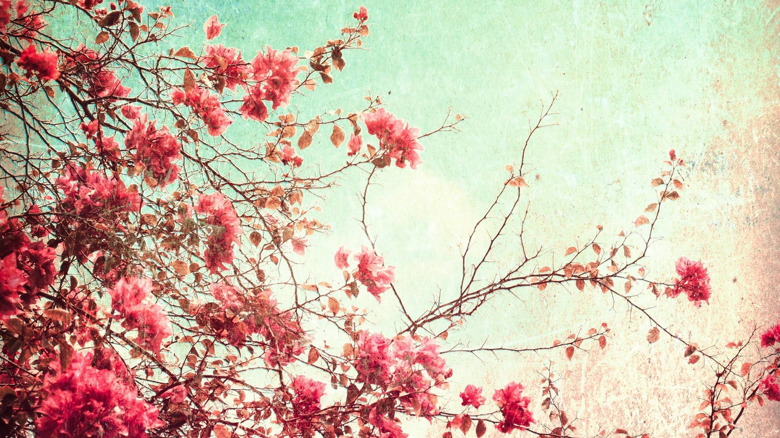 Vintage Floral Wallpaper 42963