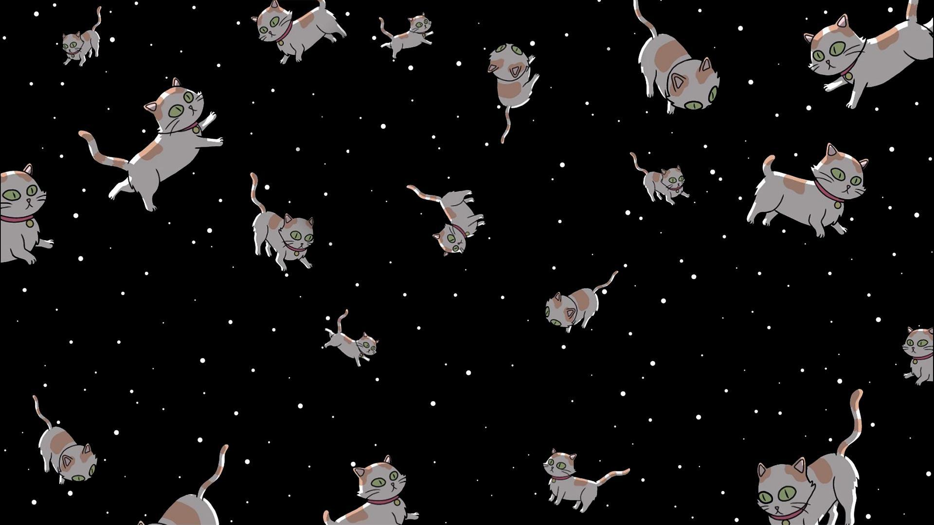 Noticed a disturbing lack of space cat wallpaper around so I made one, Download link in description