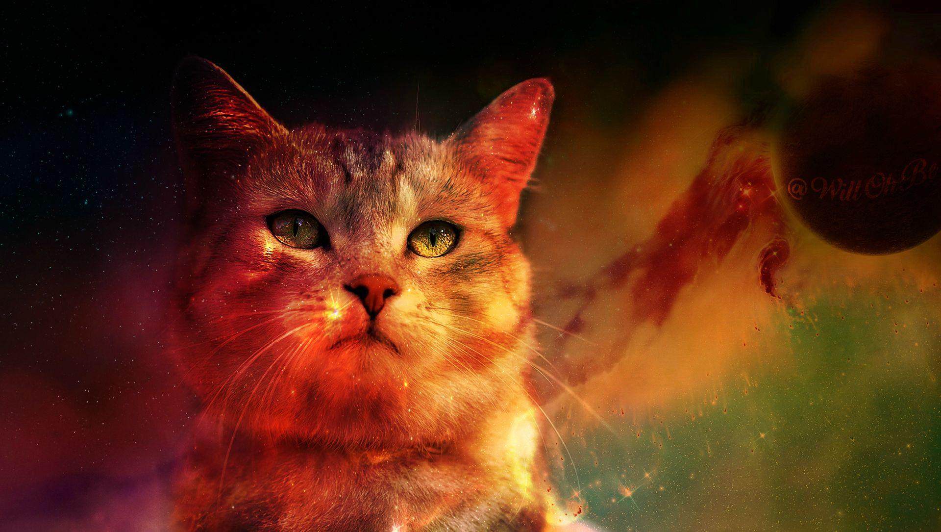 Cat In Space Digital Art Planet Wallpaper, HD Animals 4K