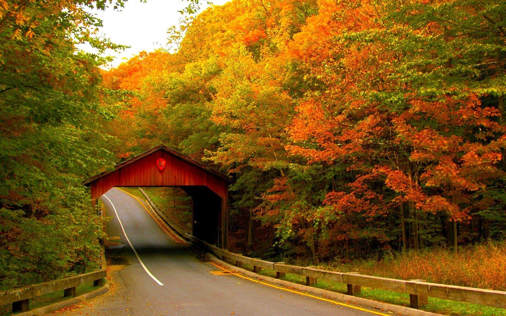 Covered Bridge in Autumn Wallpaper and Background Imagex1050