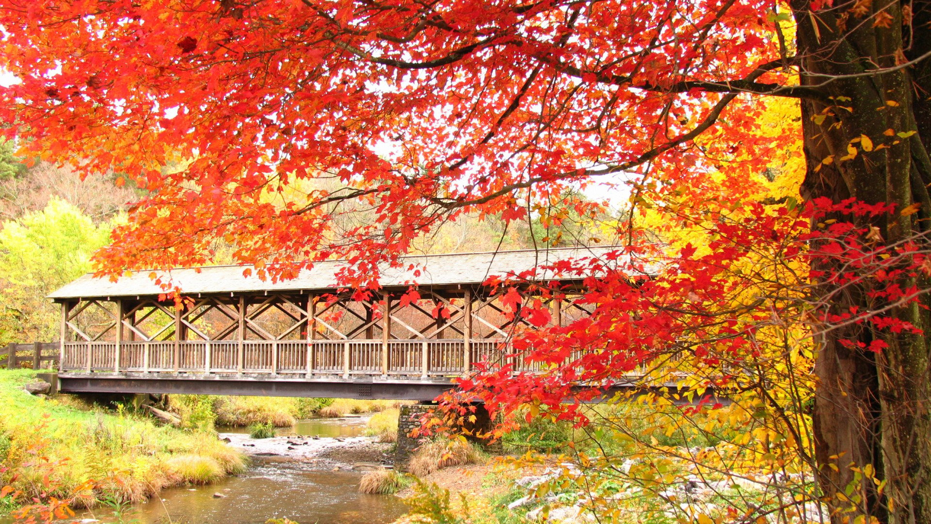 Autumn Covered Bridge Wallpaper