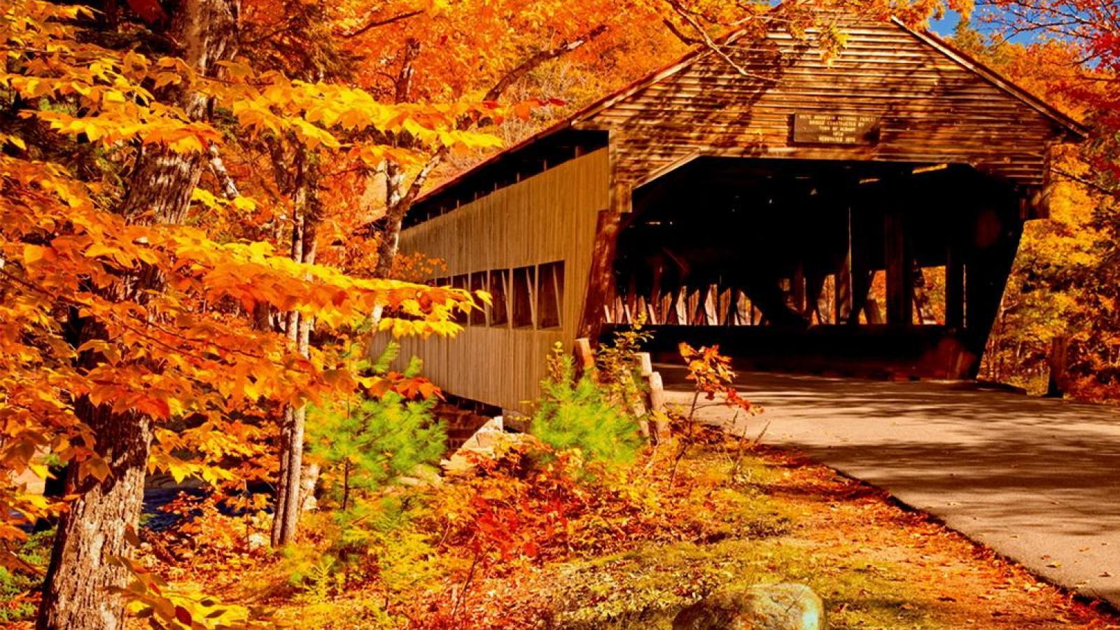 Fall Covered Bridge Desktop Wallpaper