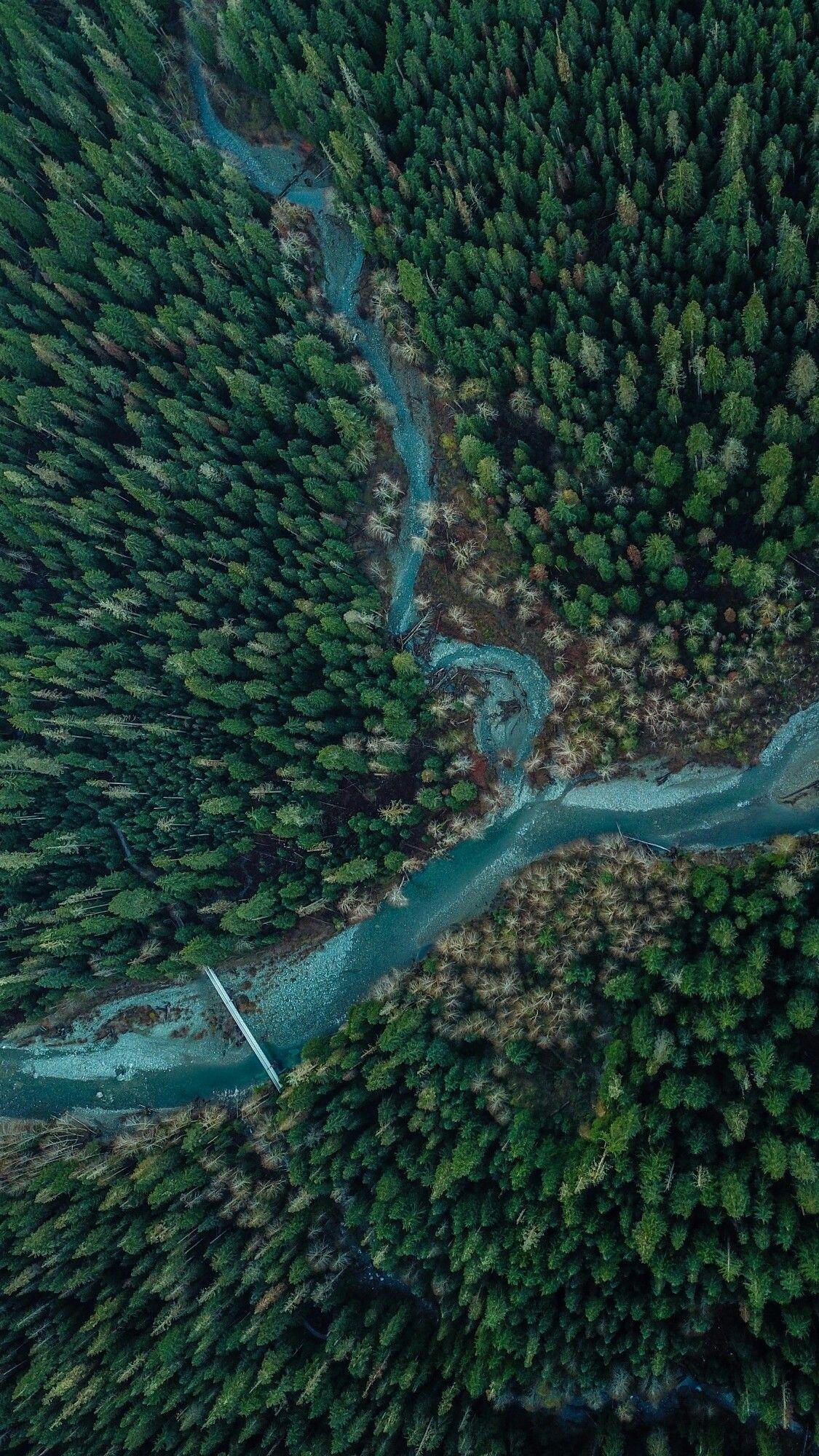 Drones Photography. Nature photography