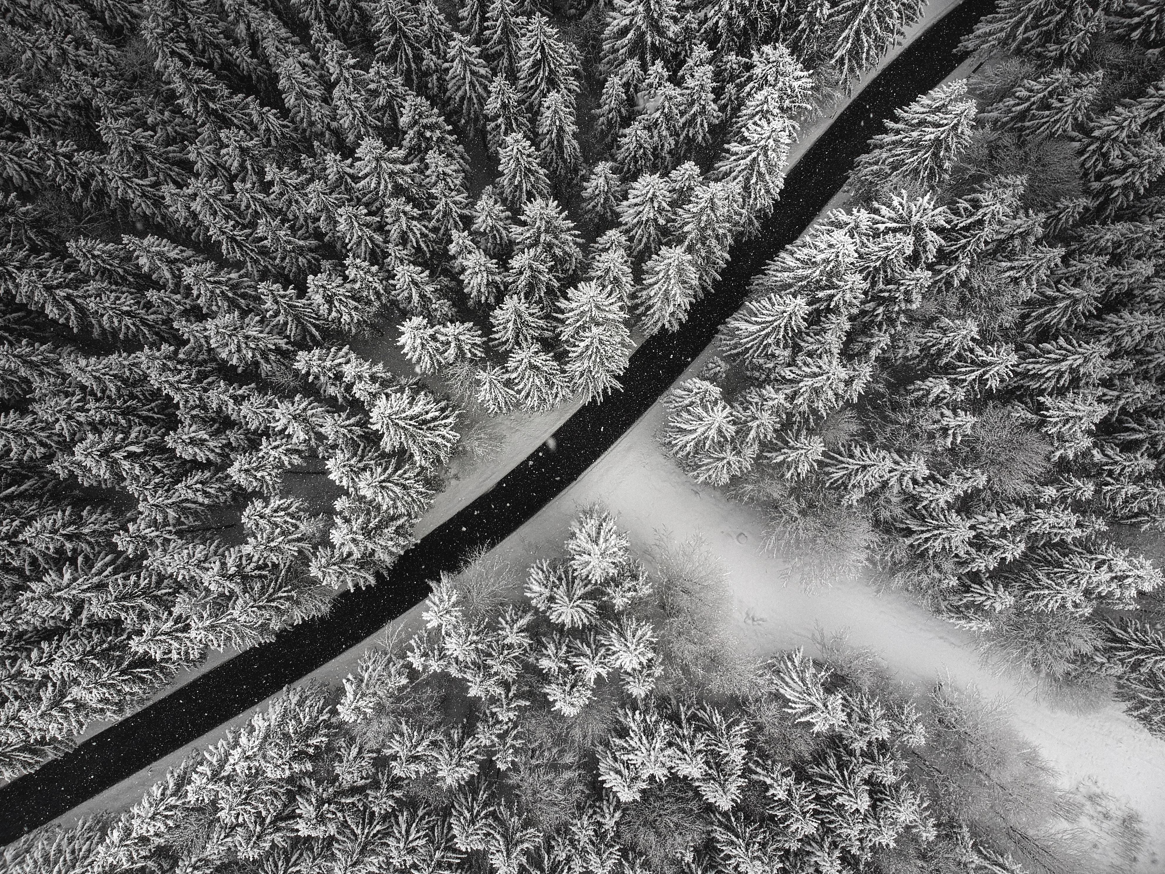 3968x2976 #cold, #aerial view, #road, #frozen, #dji