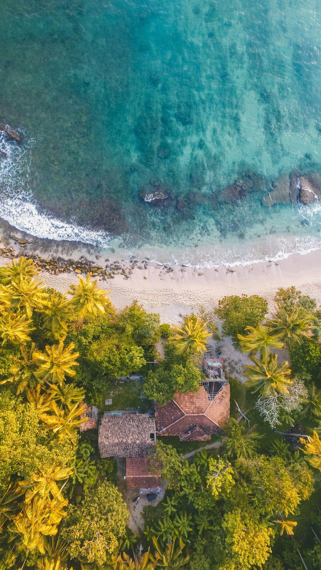 Drone view from above, the ocean, palm trees in 2019