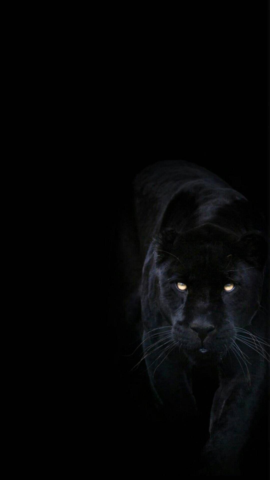 Dark. iPhone wallpaper
