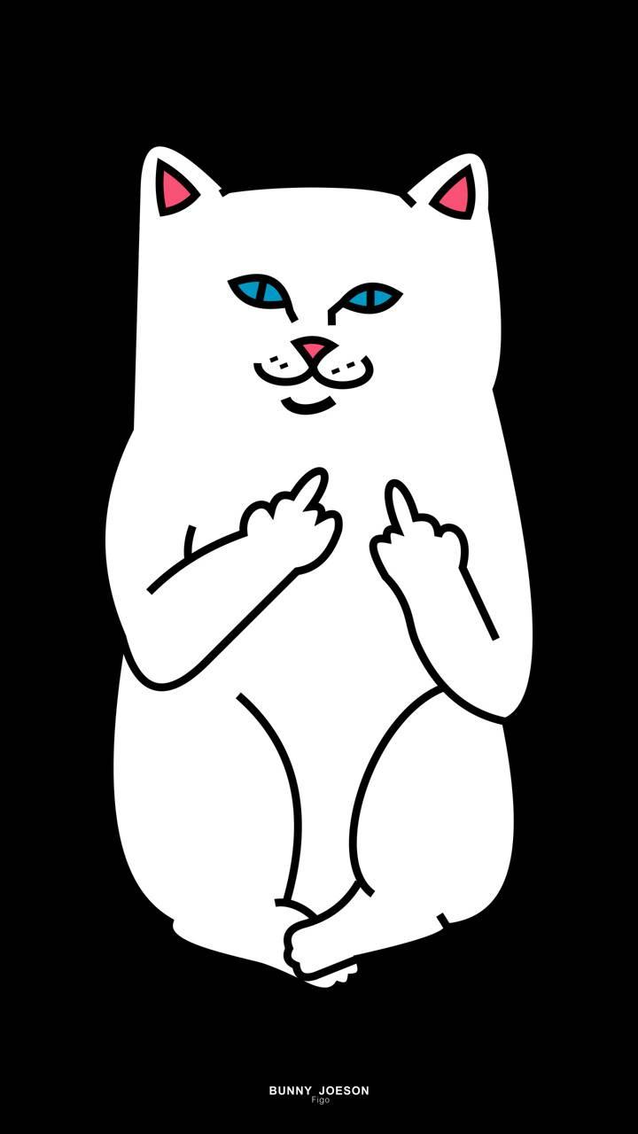 RipNDip Wallpaper