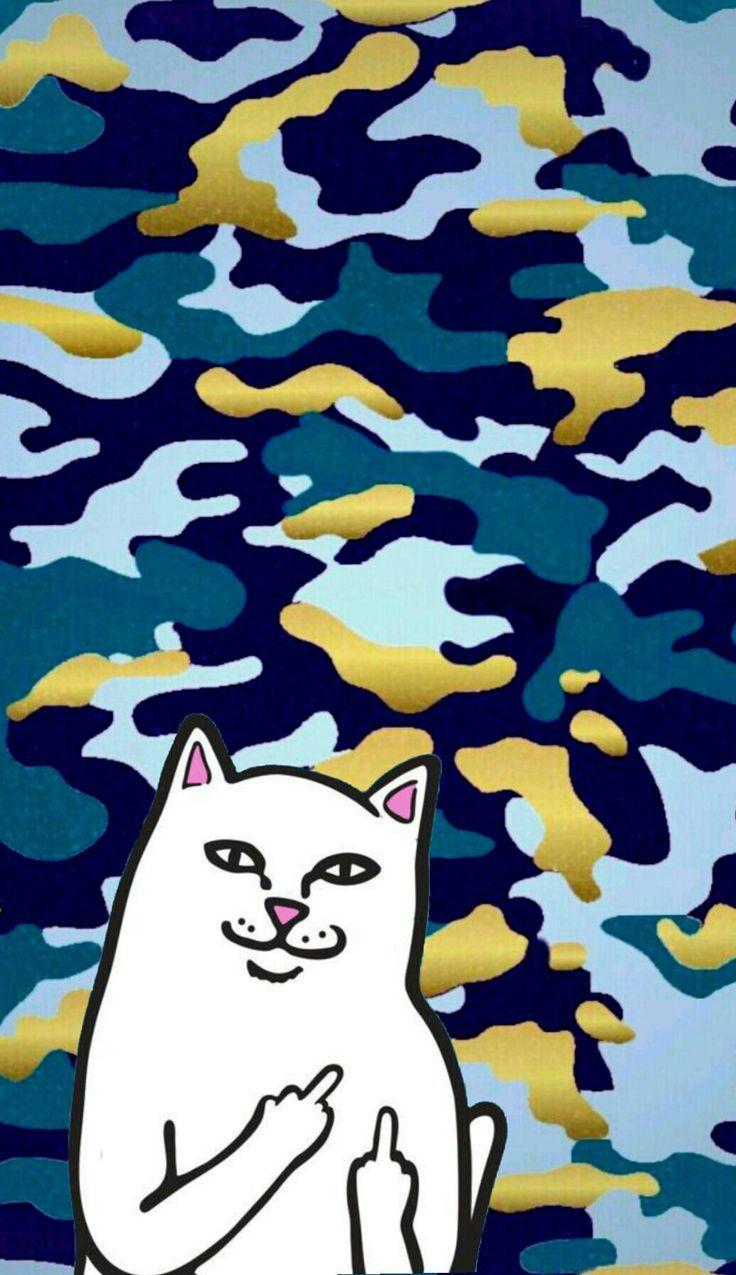 Dope Cat Wallpaper