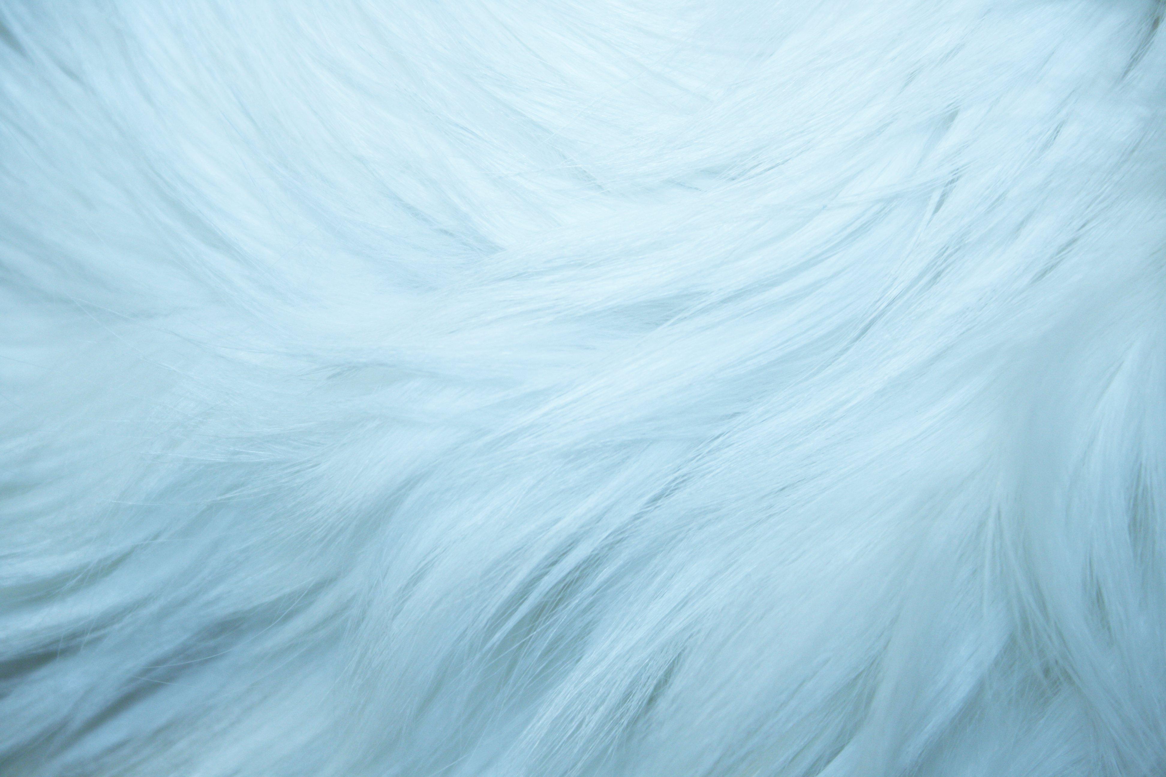 4k Ultra Detail Beautiful Whimsical Fantasy Cute Fluffy Baby Blue ·  Creative Fabrica
