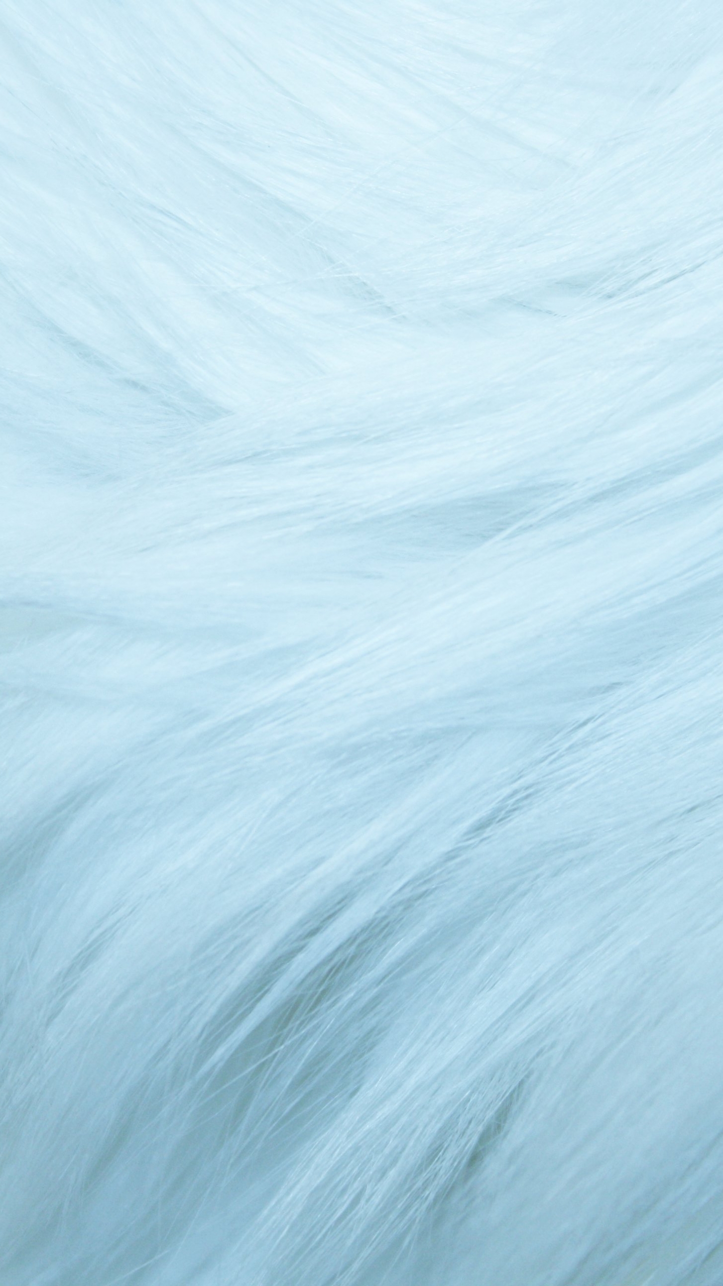 Free download Baby Blue Fur Texture High Resolution Photo