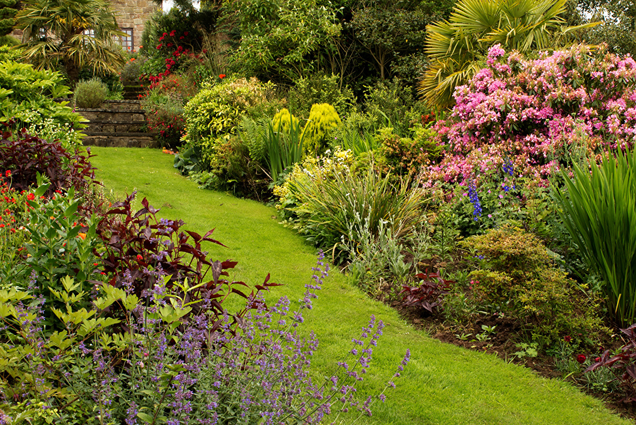 Desktop Wallpaper United Kingdom Mount Pleasant gardens Nature